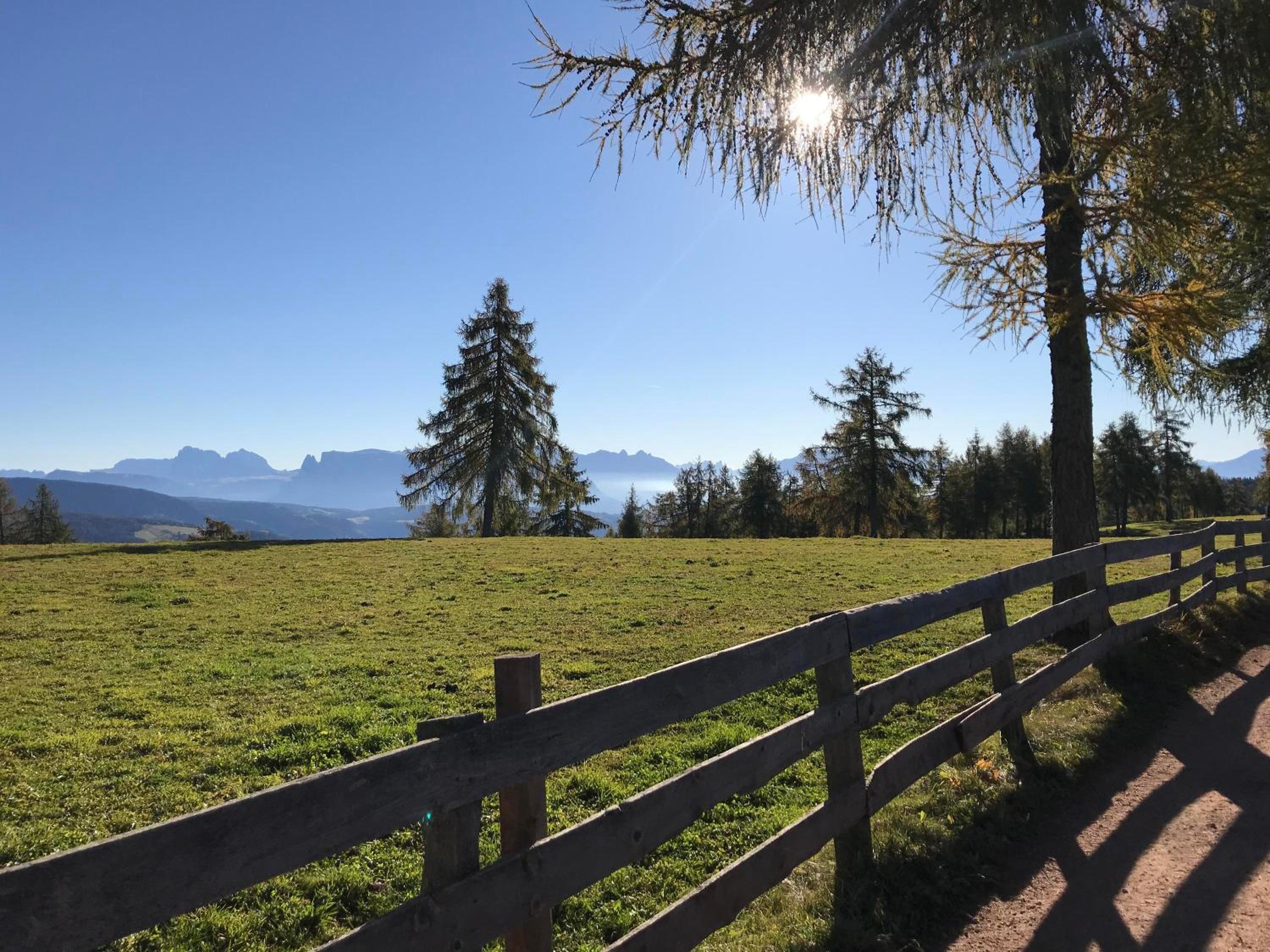 Beckenbinder Apartement Schlern