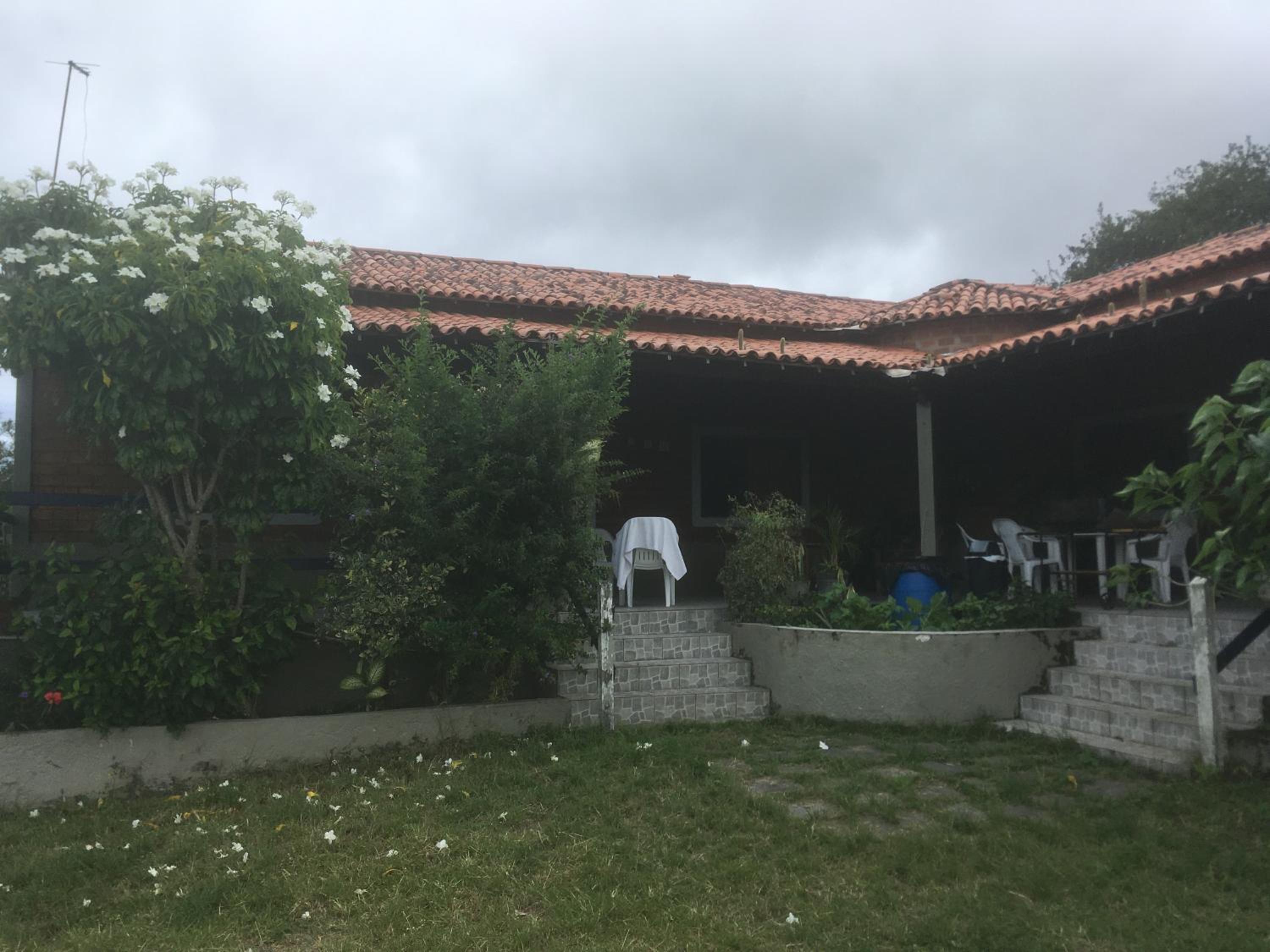 LINDA PROPRIEDADE EM GRAVATA