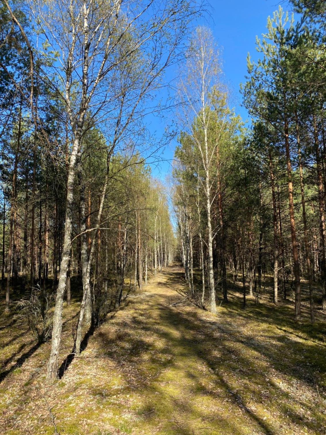 Photo 26