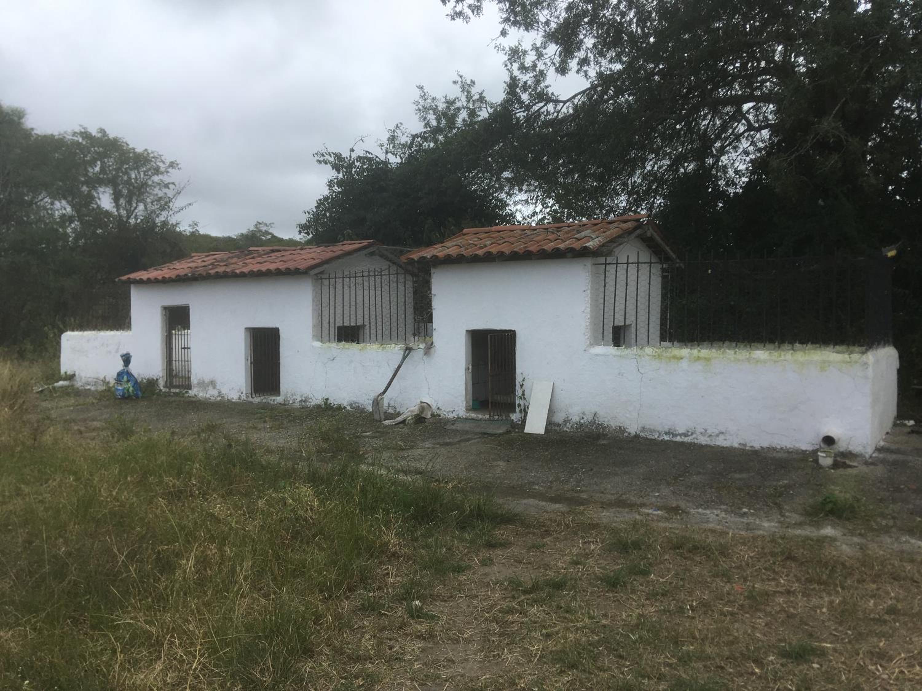 LINDA PROPRIEDADE EM GRAVATA