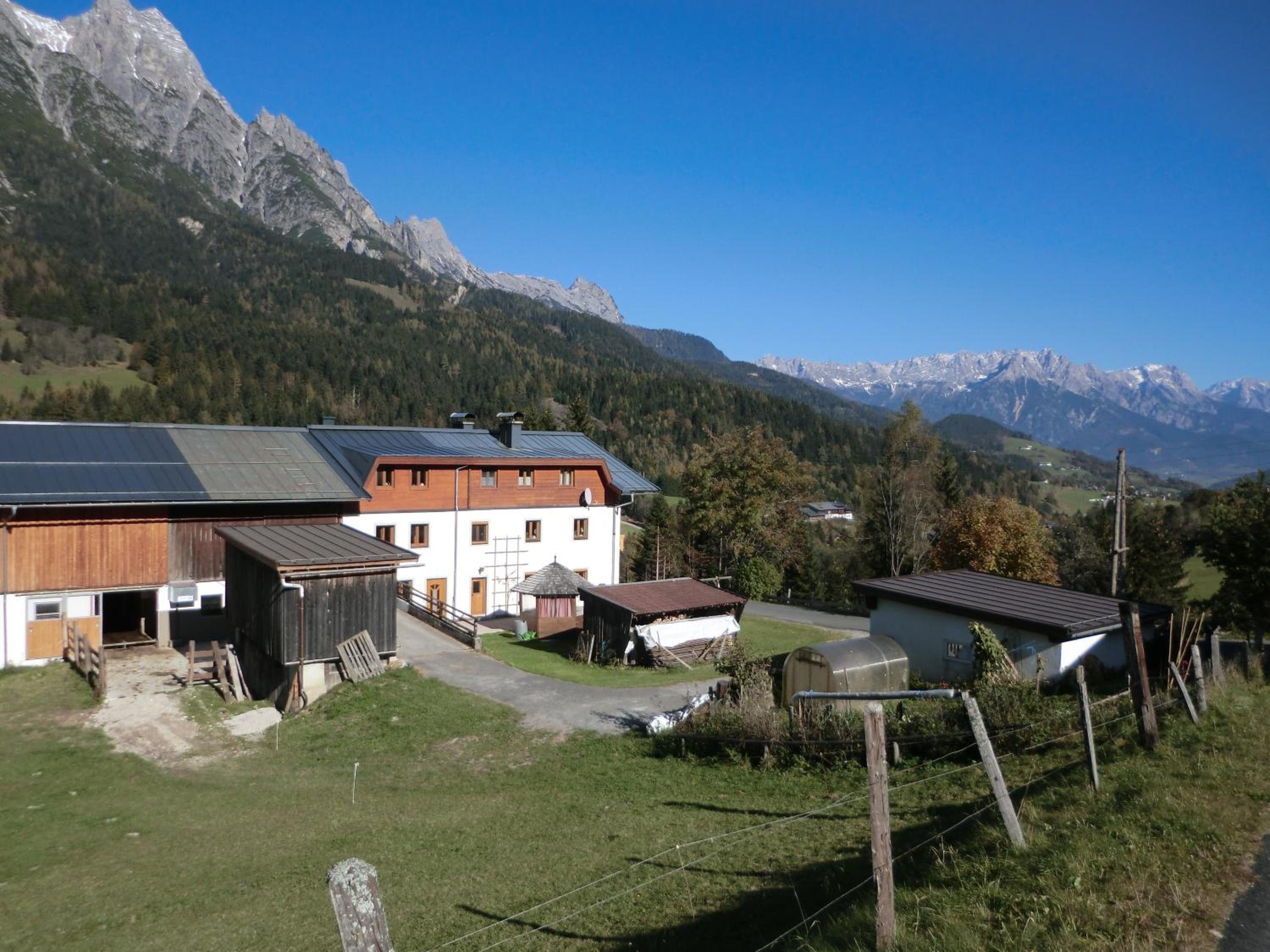 Photo 15
