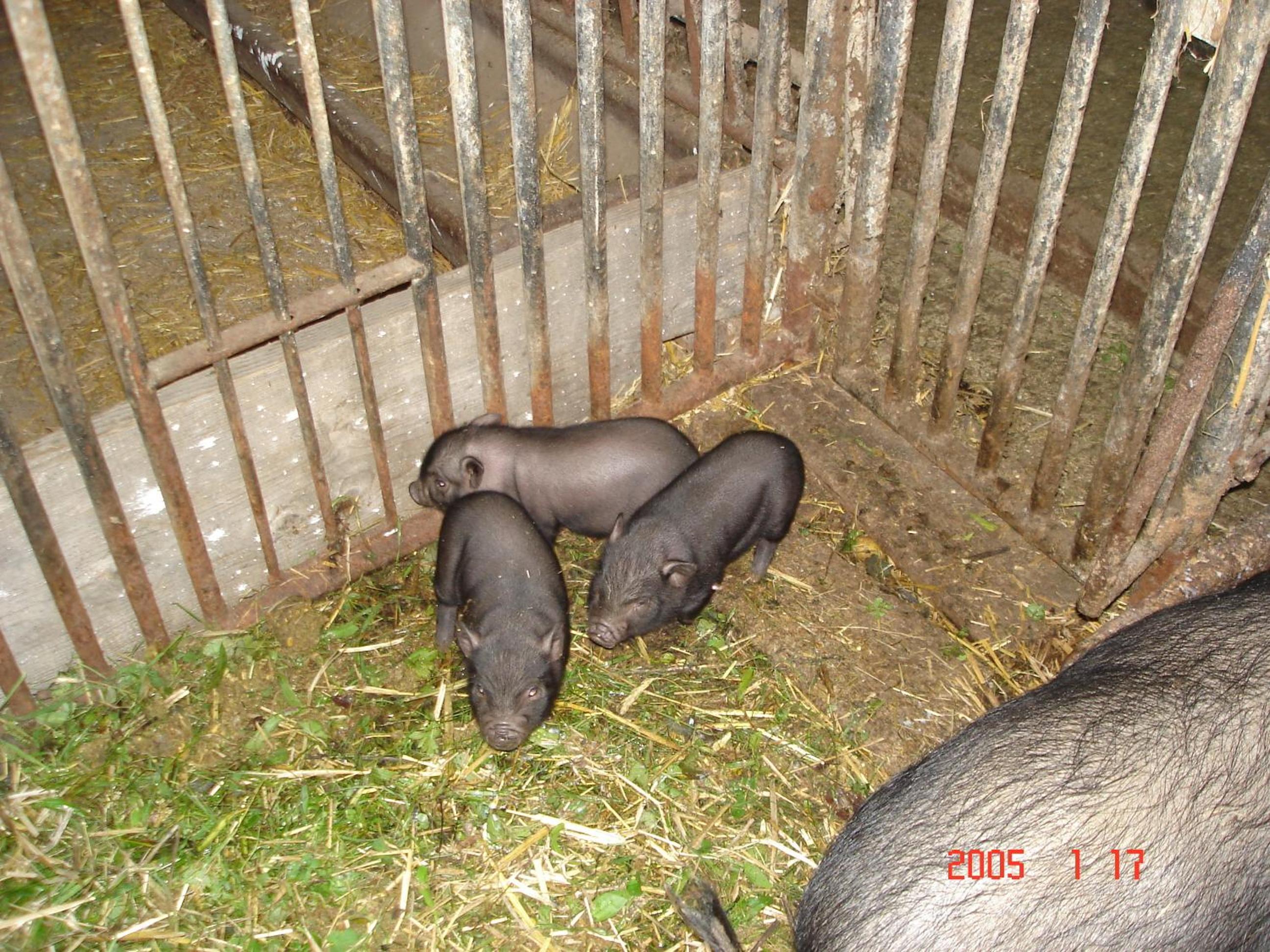 Photo 20