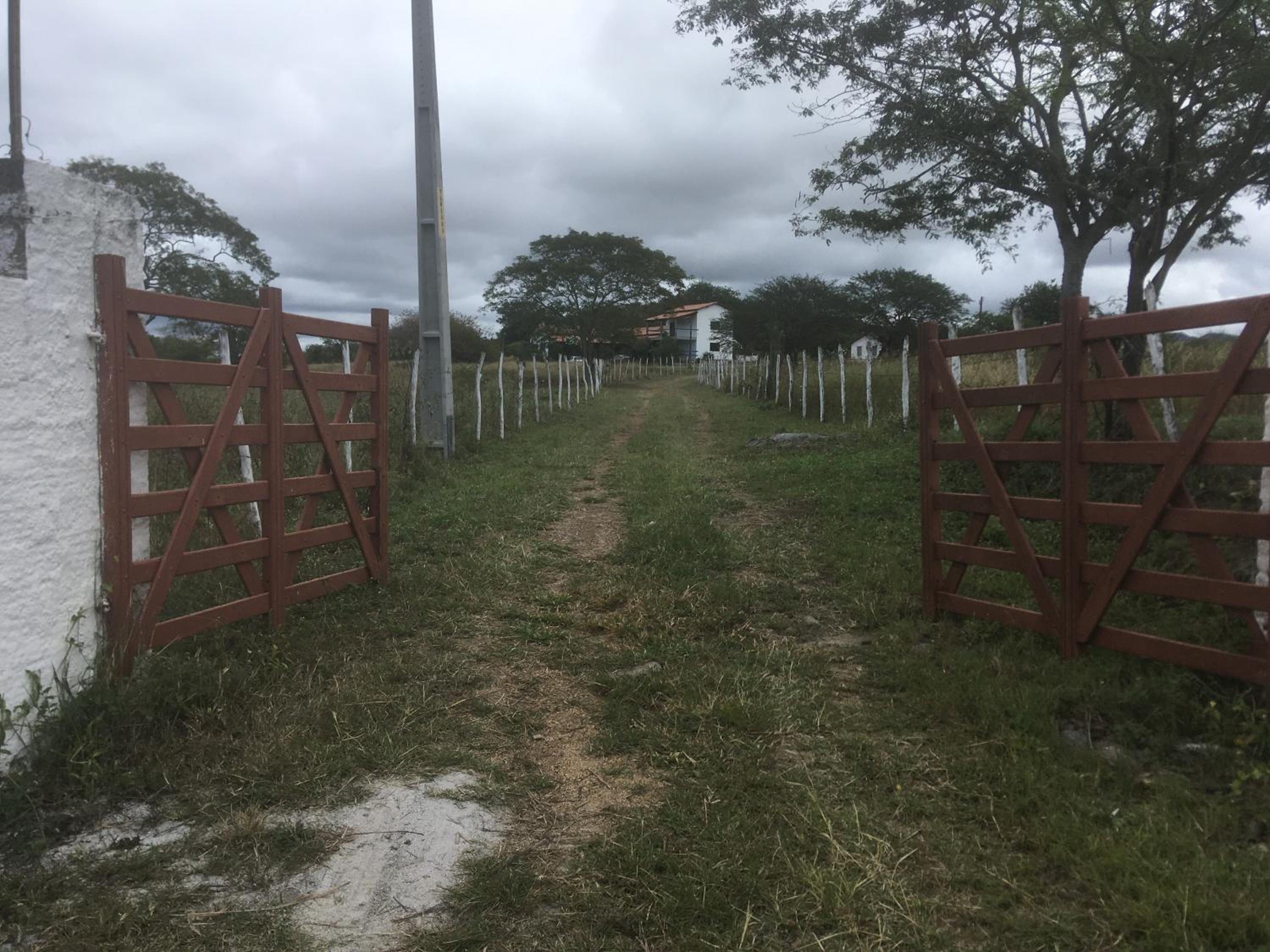 LINDA PROPRIEDADE EM GRAVATA