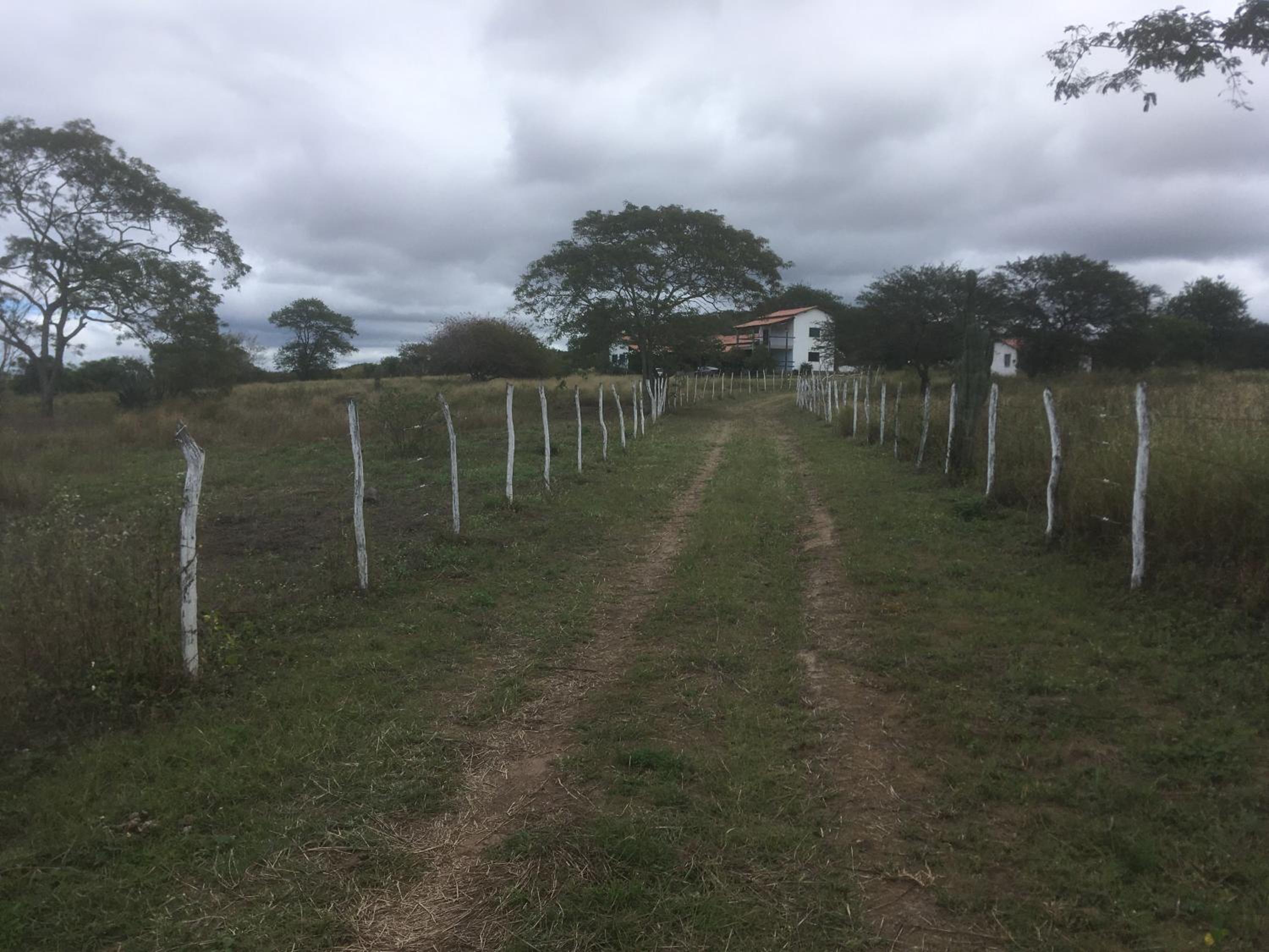 LINDA PROPRIEDADE EM GRAVATA