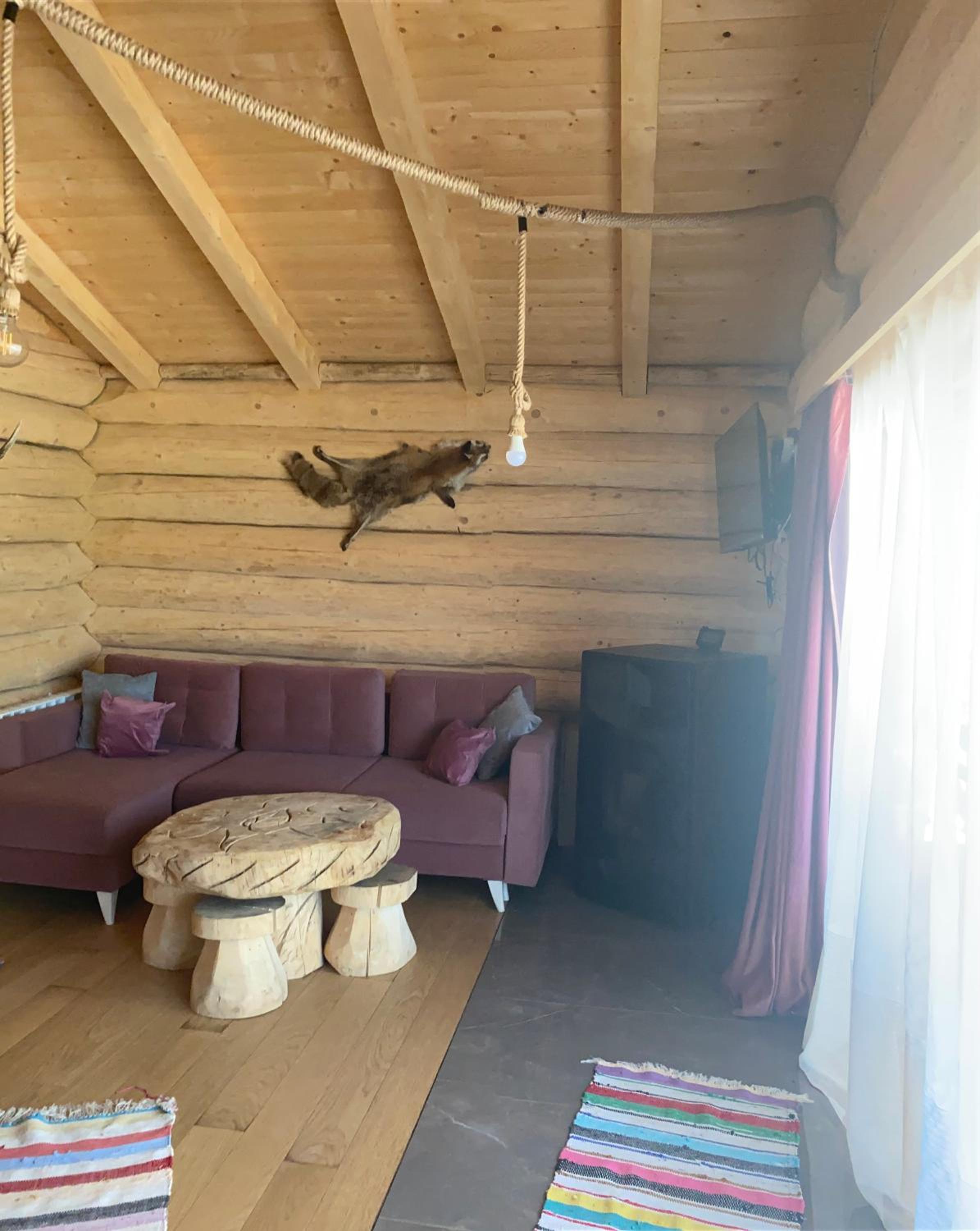 Cabana De Vis Pietrosul
