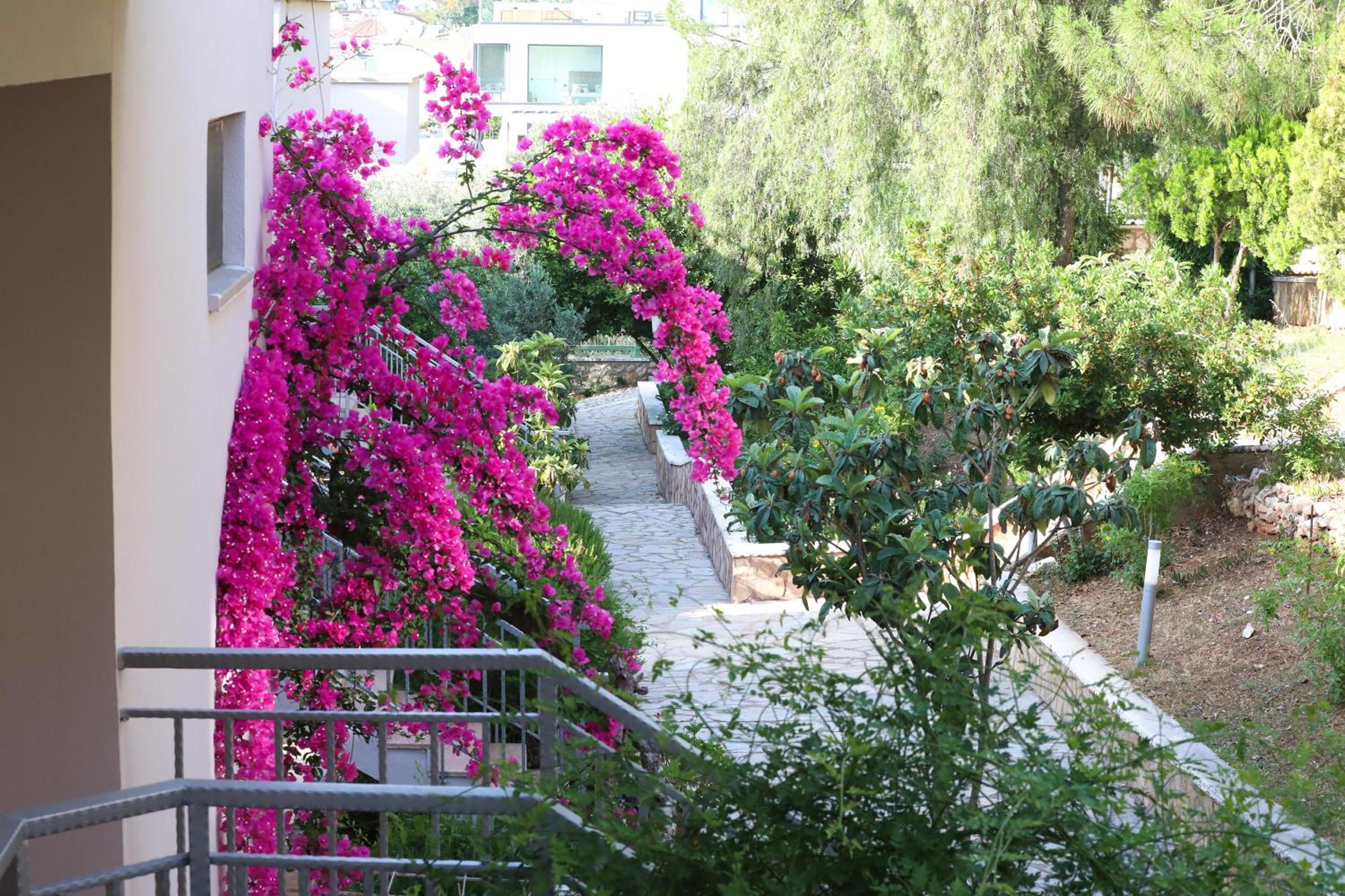 Happy Otel Kalkan - Image 46