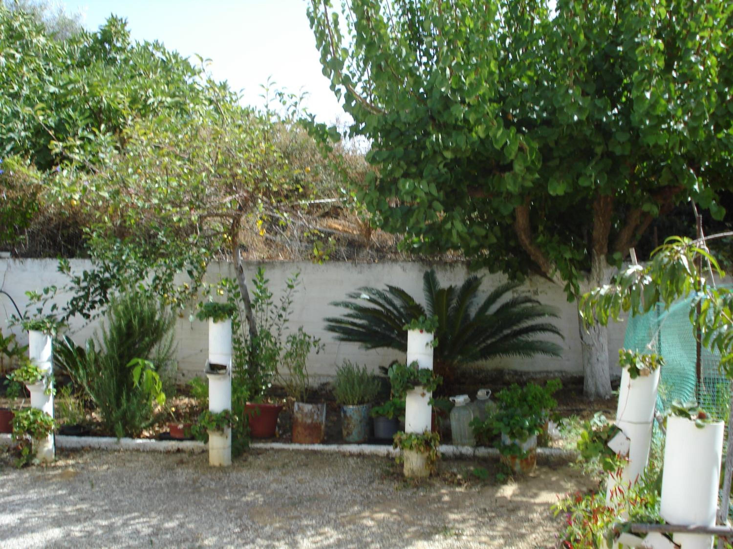 Zinovia