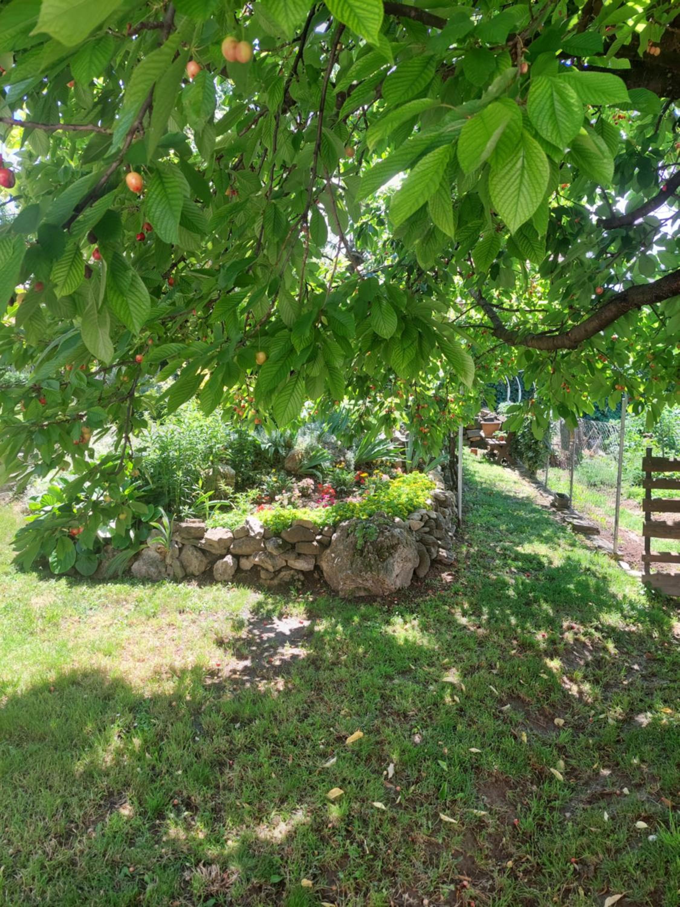 Photo 6