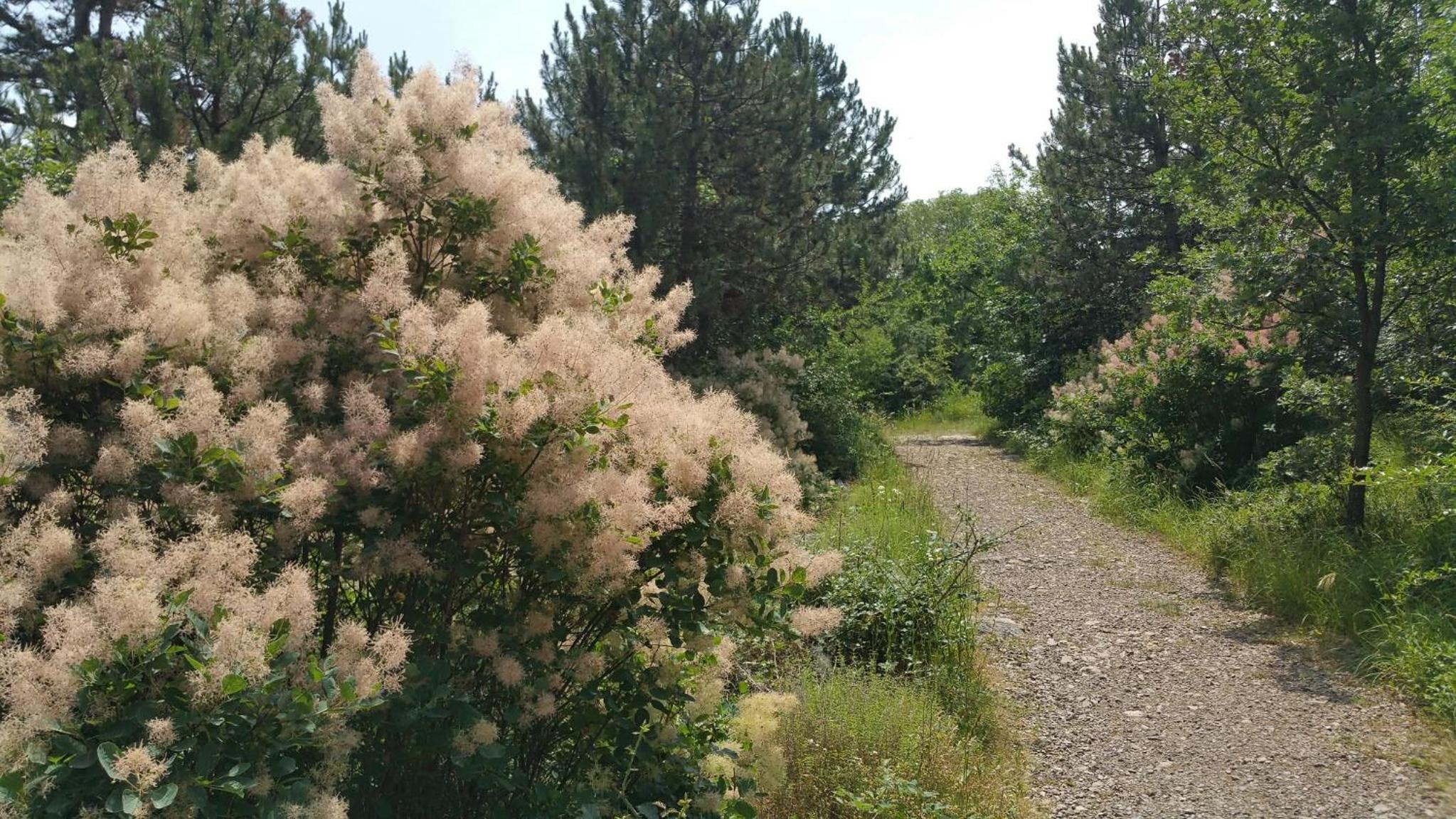 Photo 32