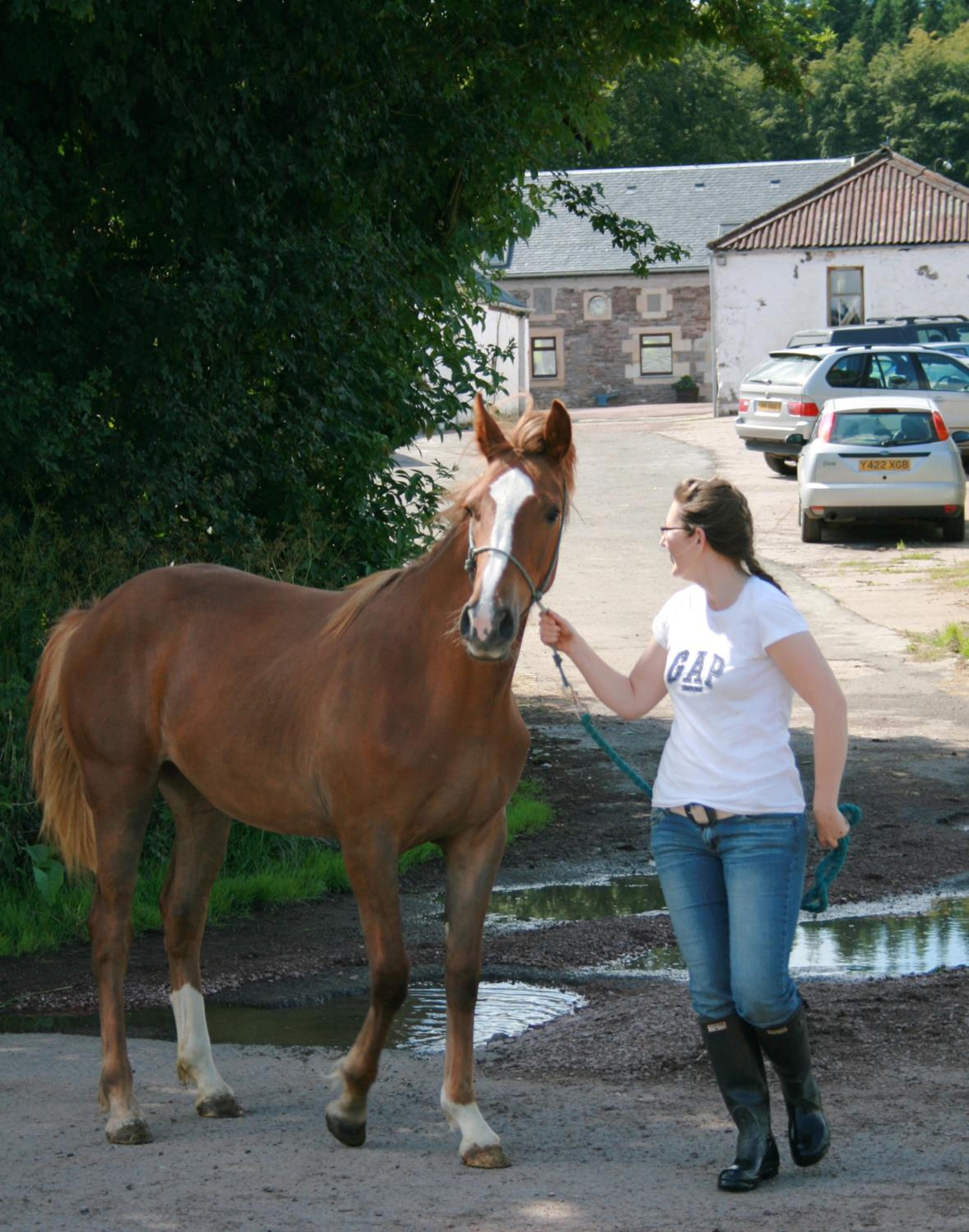 Corehouse Farm Cottages - Dairy, Granary & Sawmill, photo 24
