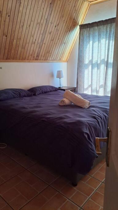 Surf Cabana 3 bedroom holiday home