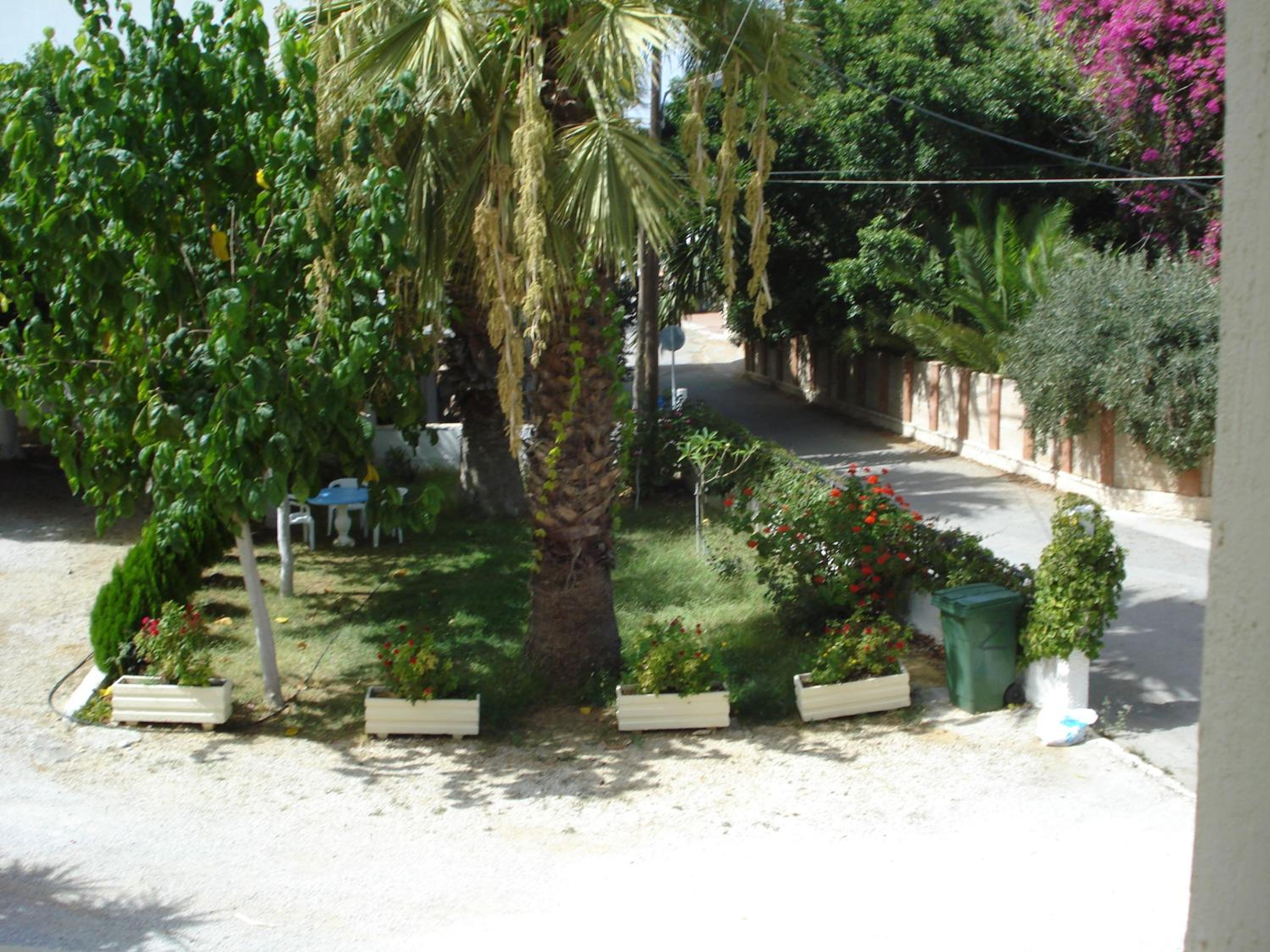 Zinovia