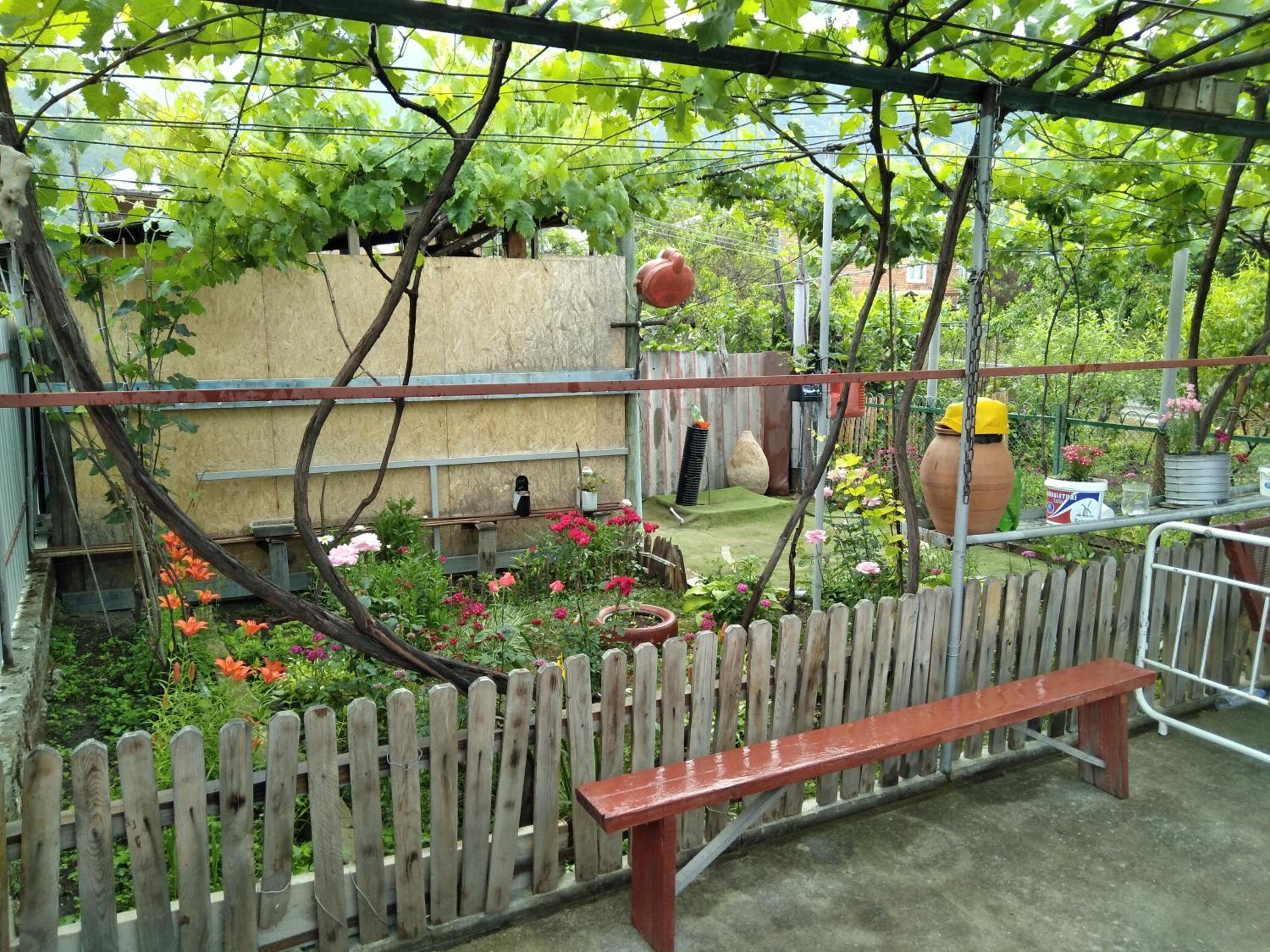 Photo 35