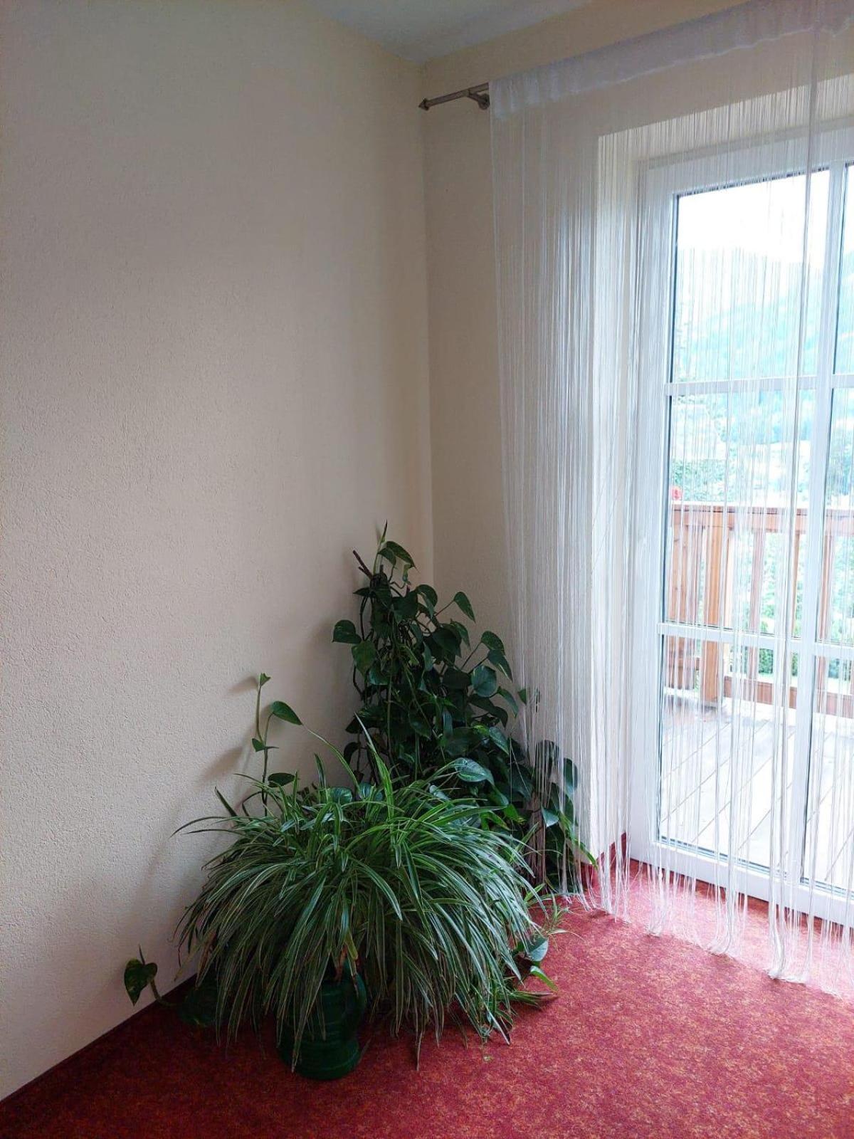 Appartements - Haus Sieberer