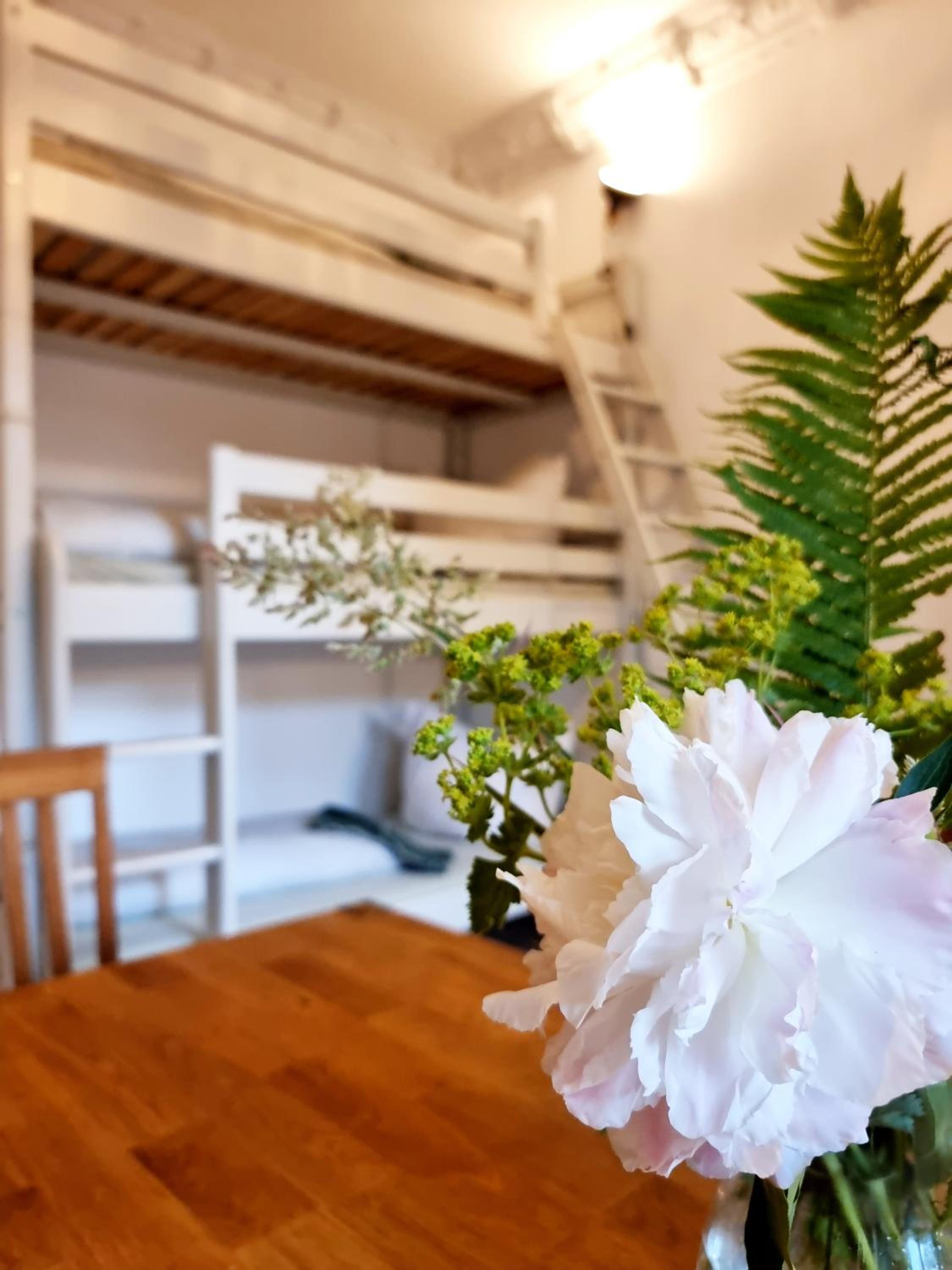 Hostel Lollis Homestay Dresden