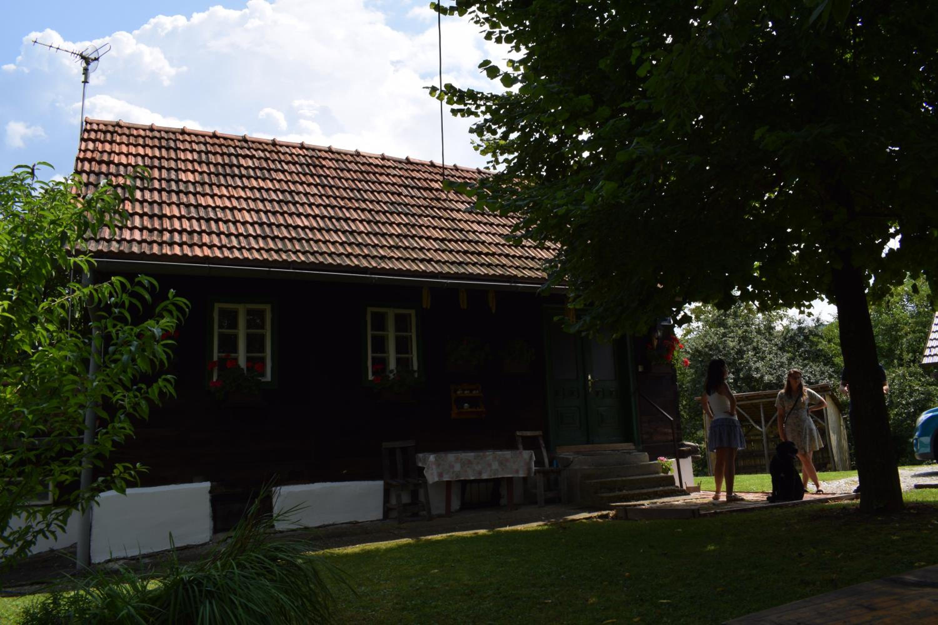 Holiday home Hižica v plavem trnacu