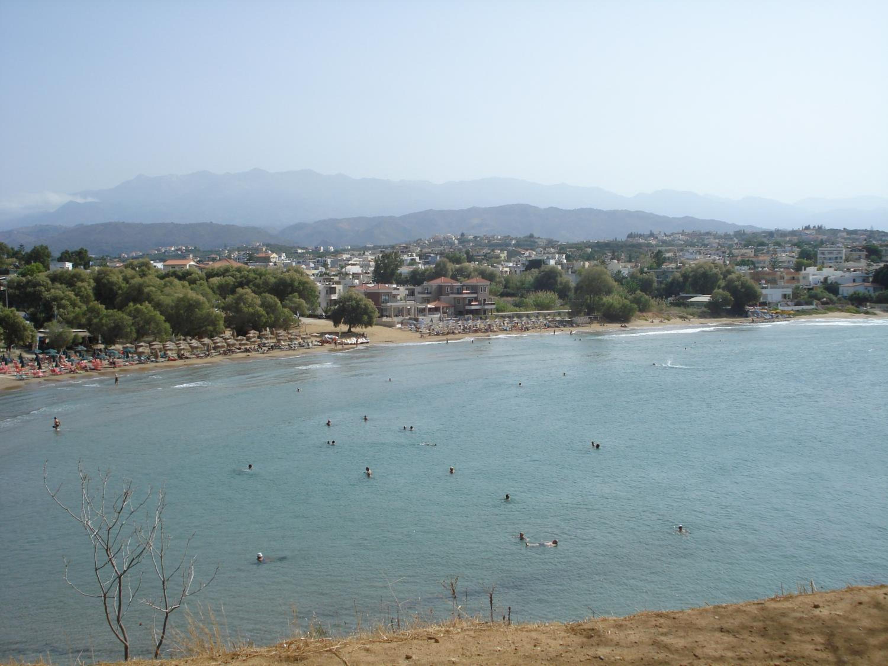 Zinovia