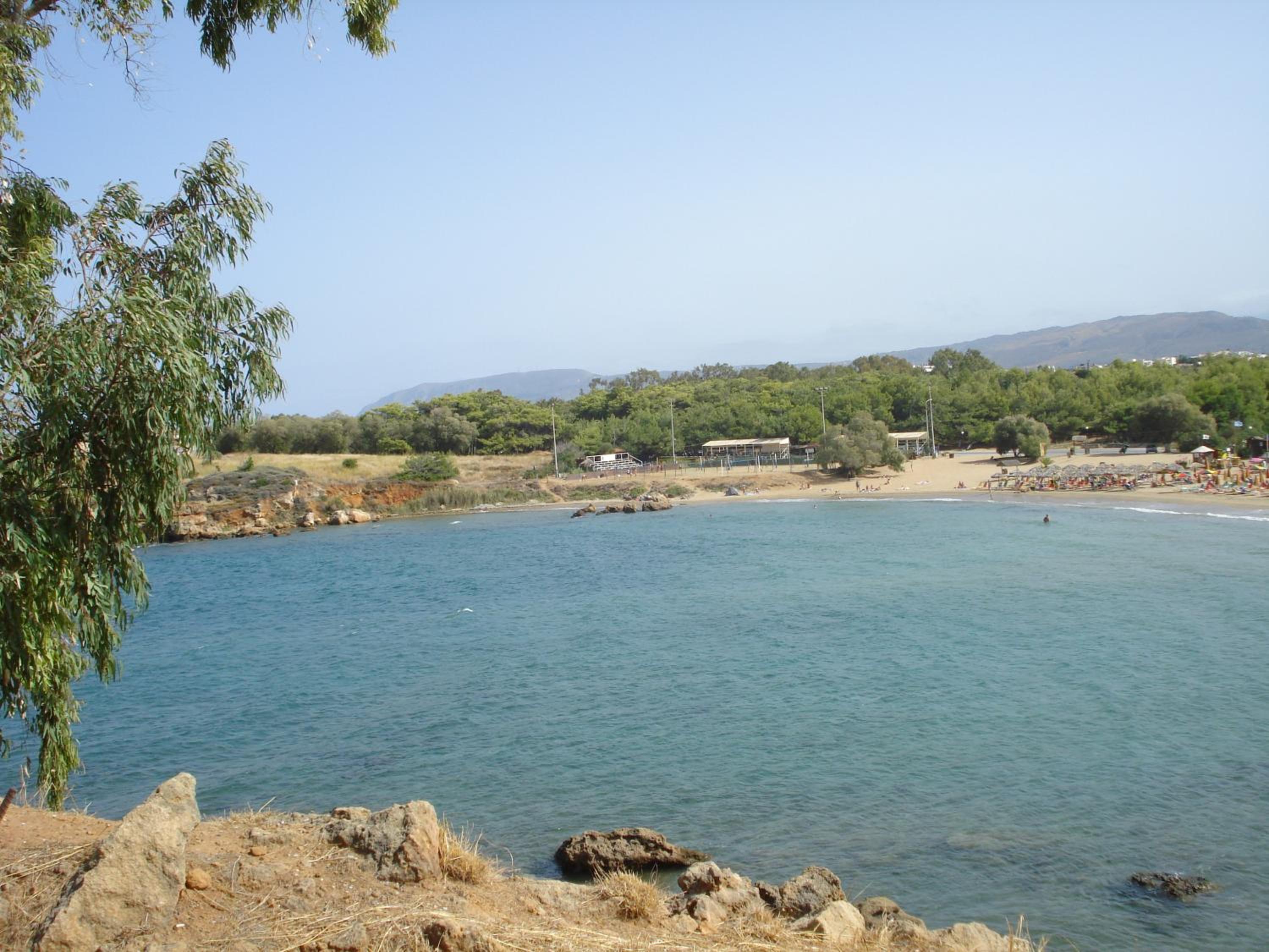 Zinovia