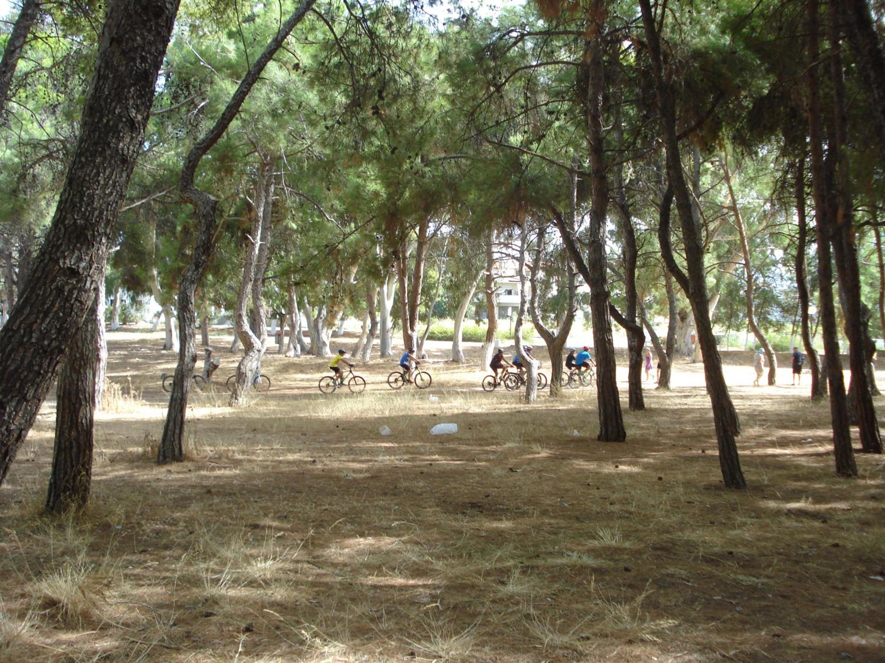 Zinovia