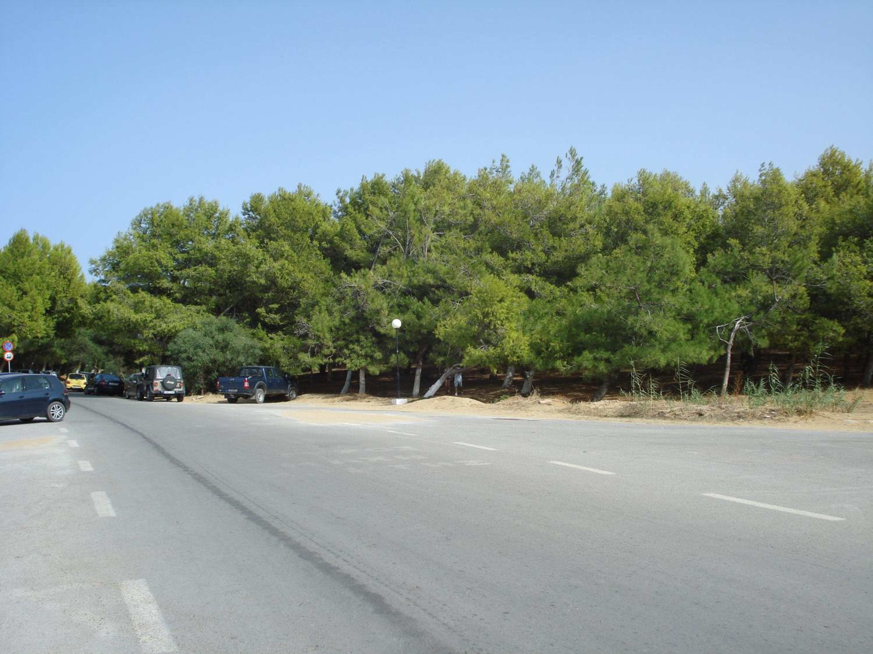 Zinovia