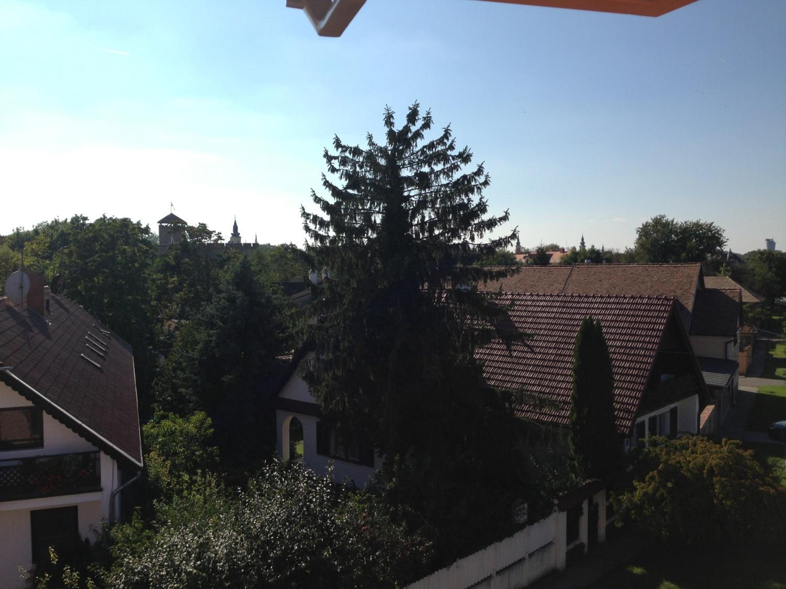 Photo 48