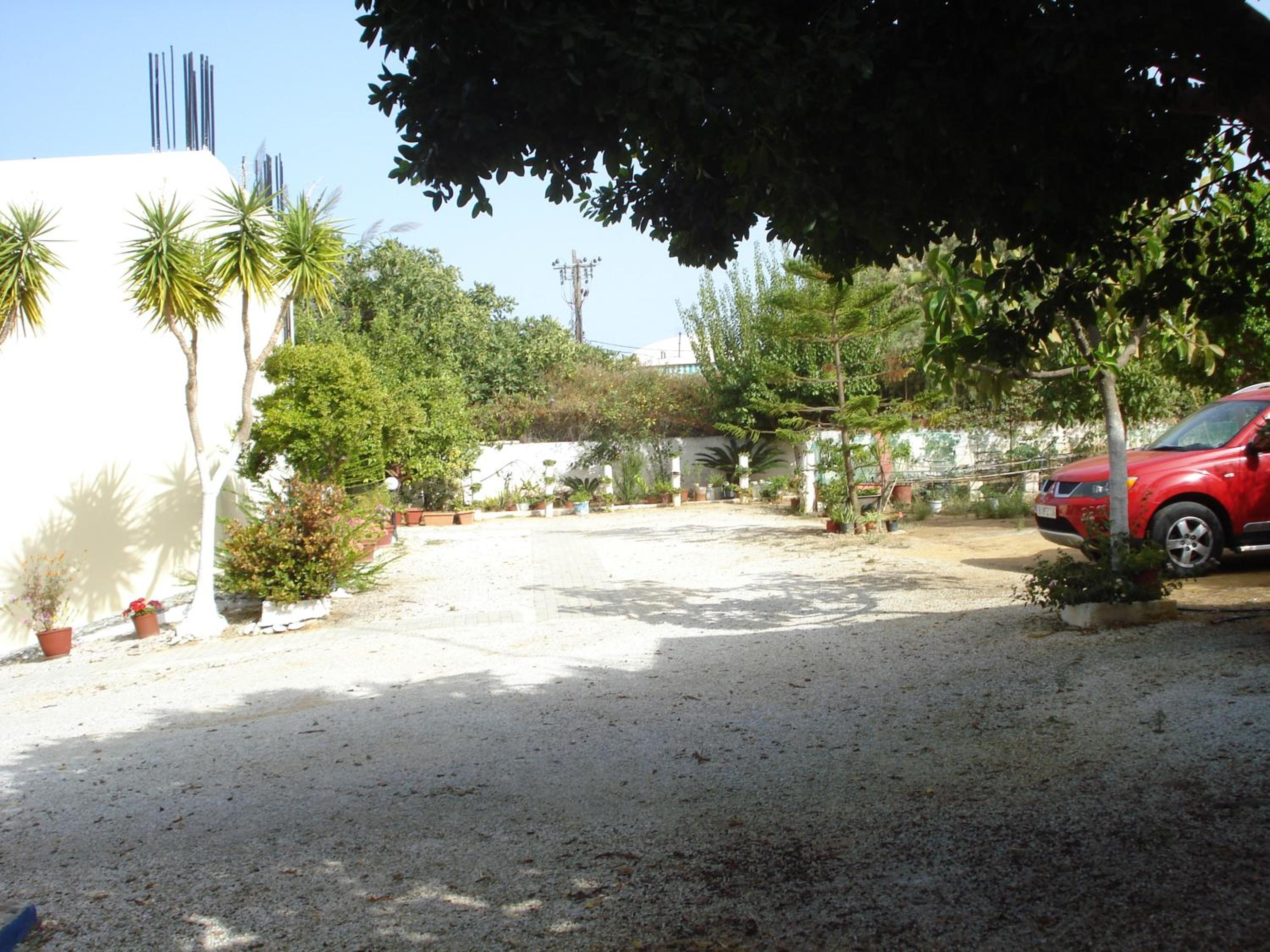 Zinovia