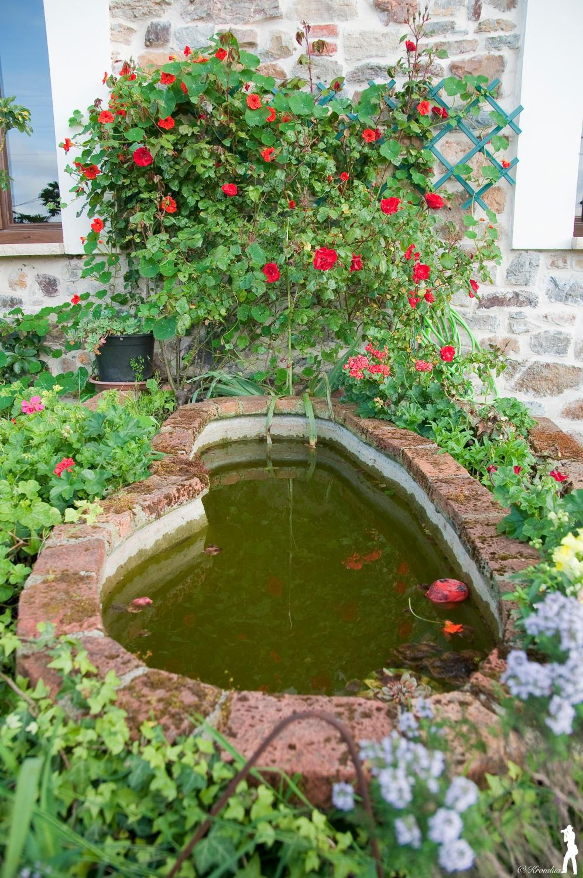 Fancornio Rural