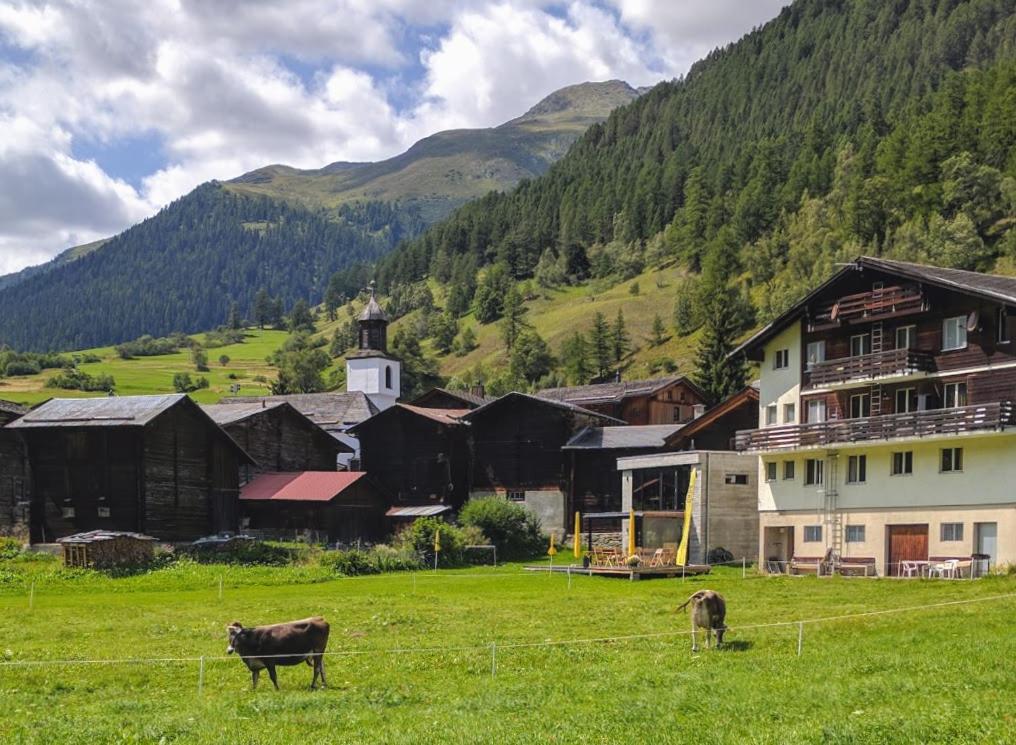 Modern and bright apartment opposite ski-lift
