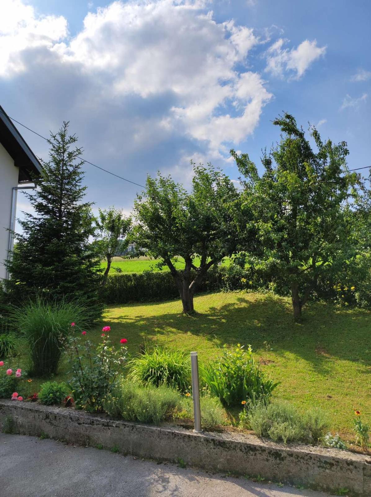 APARTMAN NEVENKA view 5