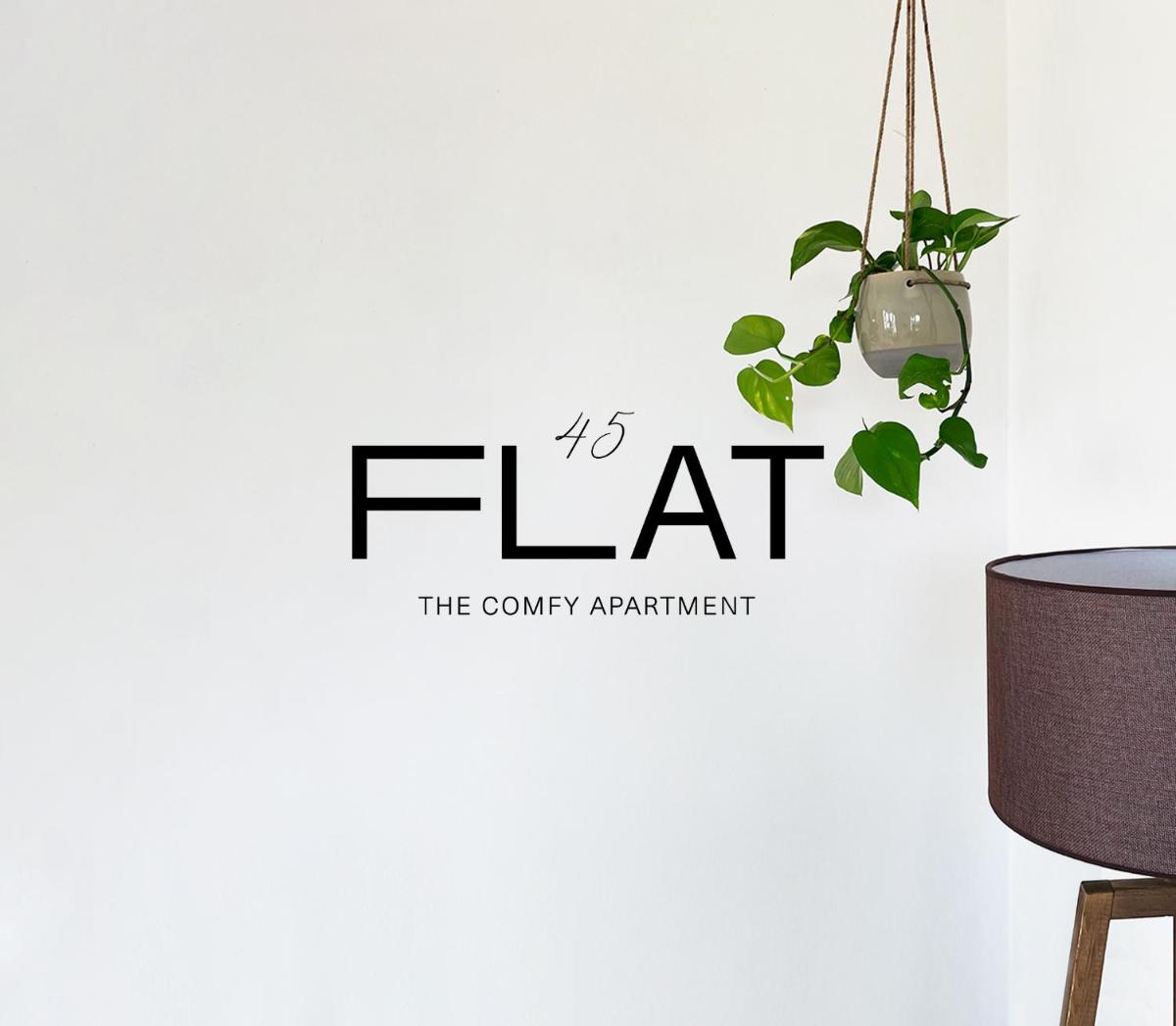 Flat 45 view 2