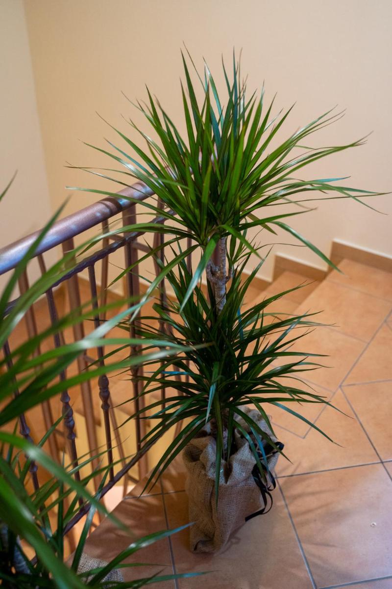 Photo 72