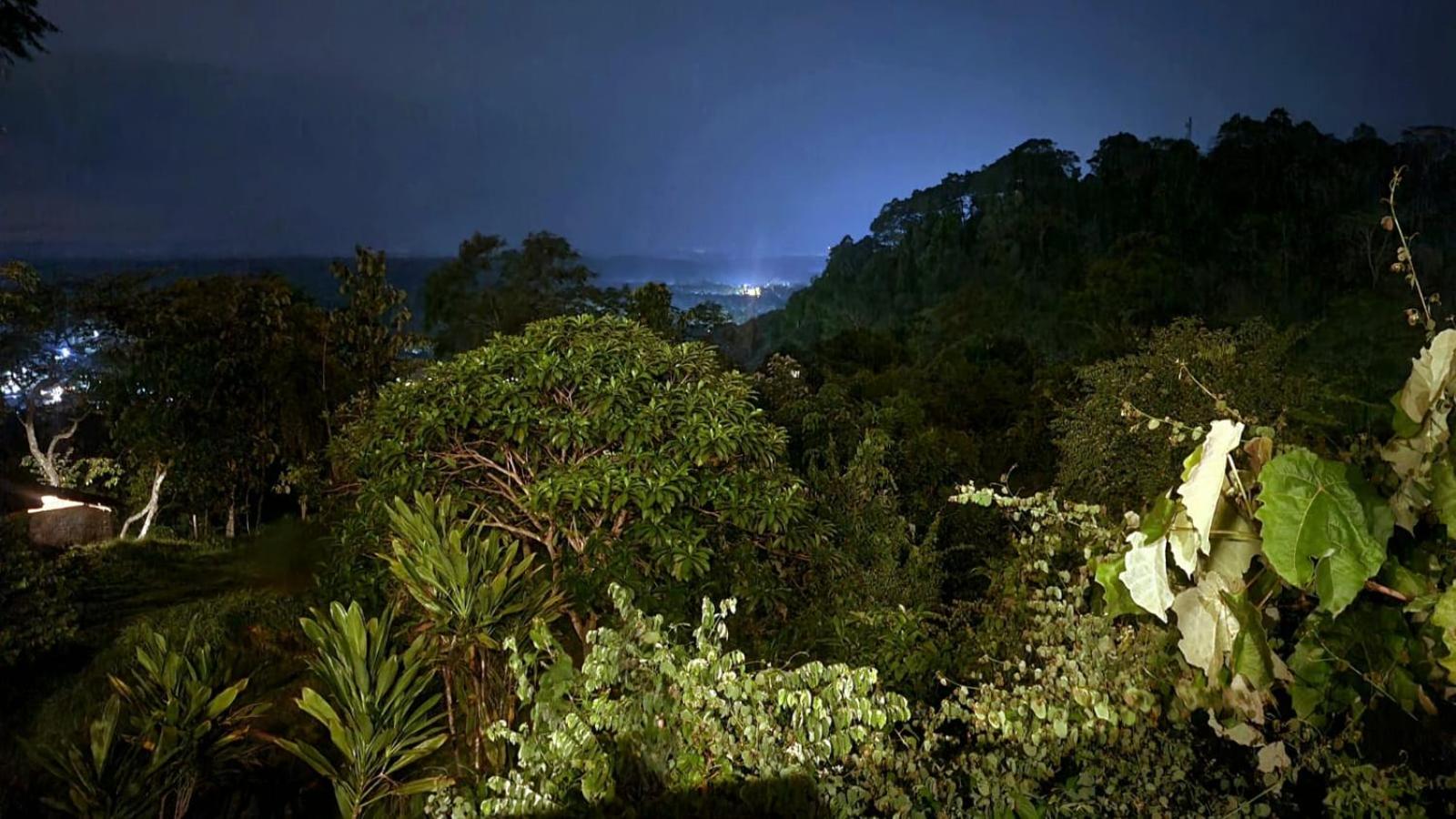 Bukit Lawang Hill Resort view 4