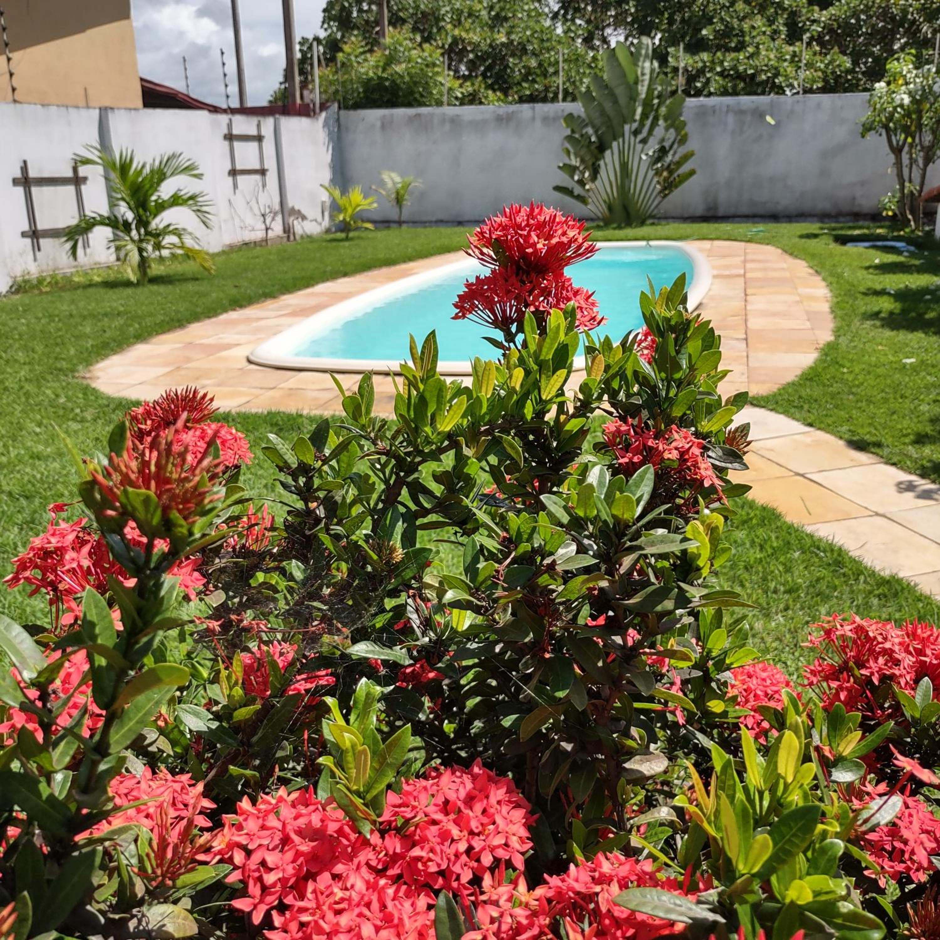 Tropicana Village view 5