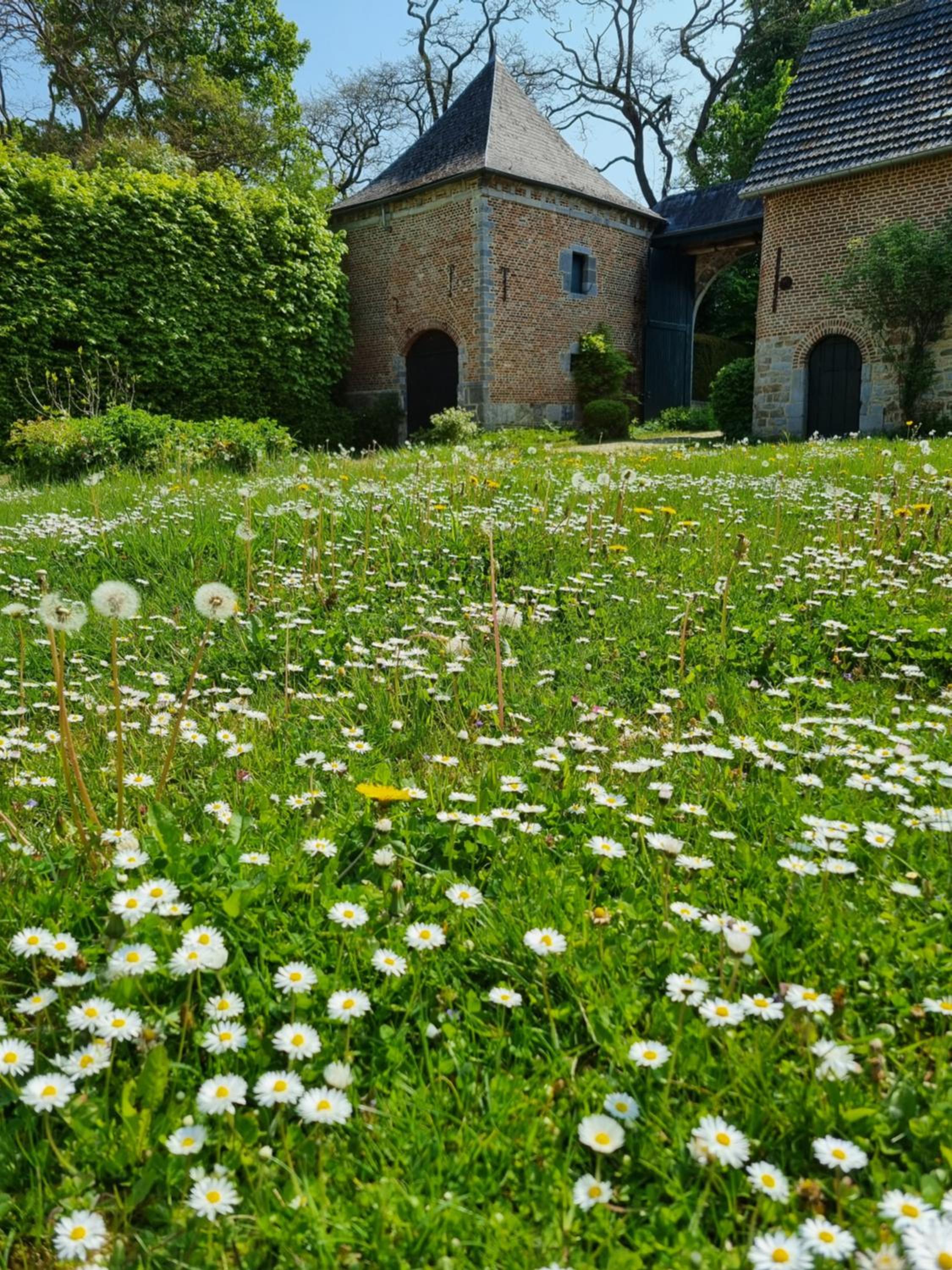 Gîte de la Ferme de Seron - gîte de charme à la campagne avec sauna