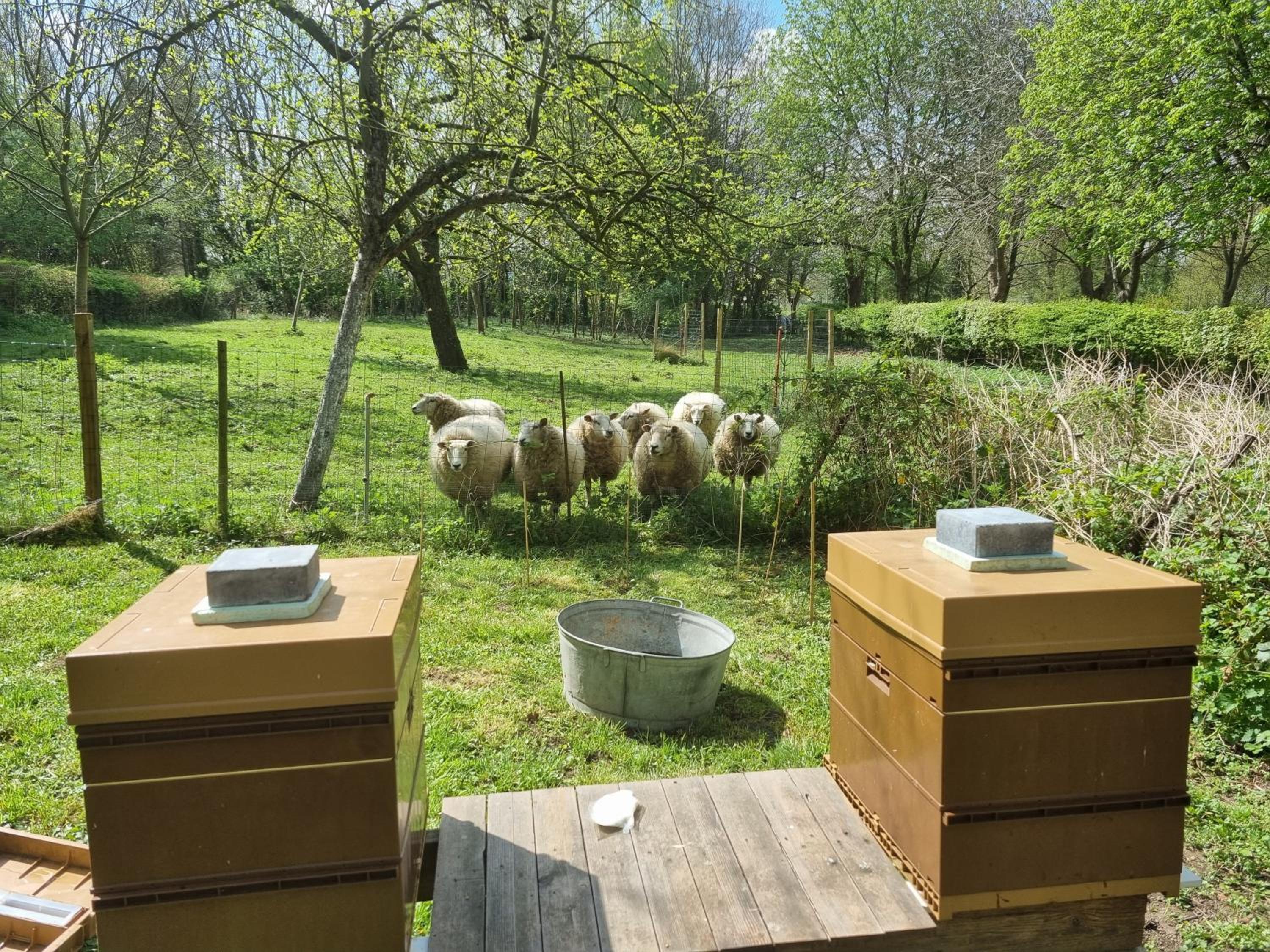 Gîte de la Ferme de Seron - gîte de charme à la campagne avec sauna