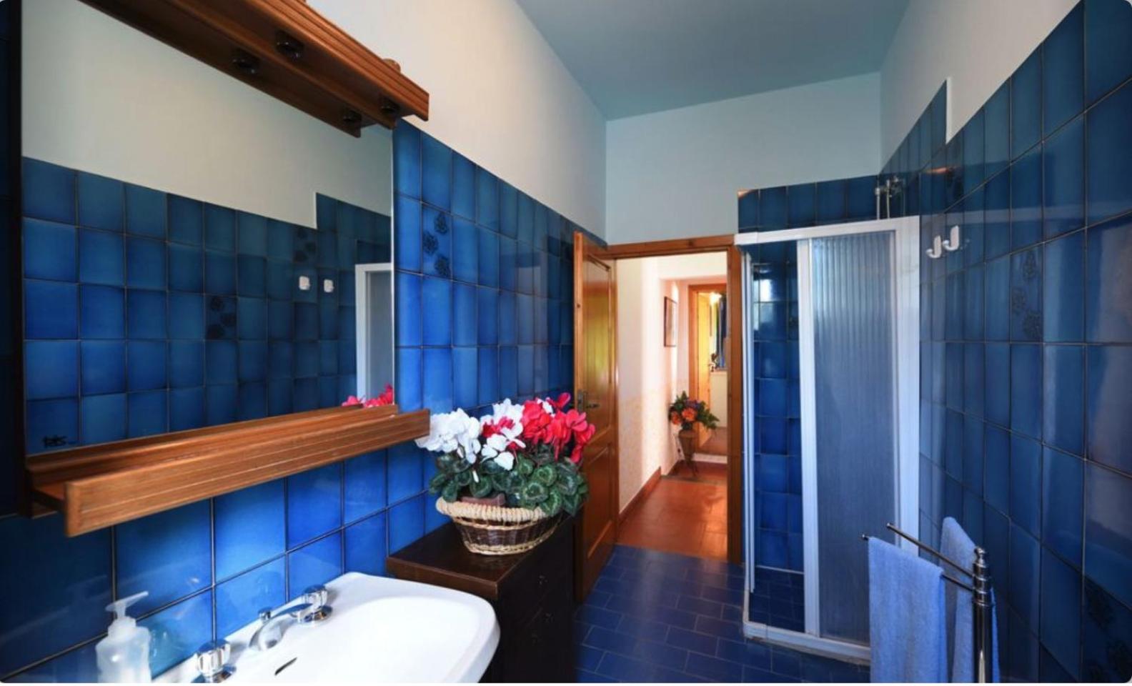 Figline Valdarno Vacations - Tuscany Garden Villa - Property Image 3
