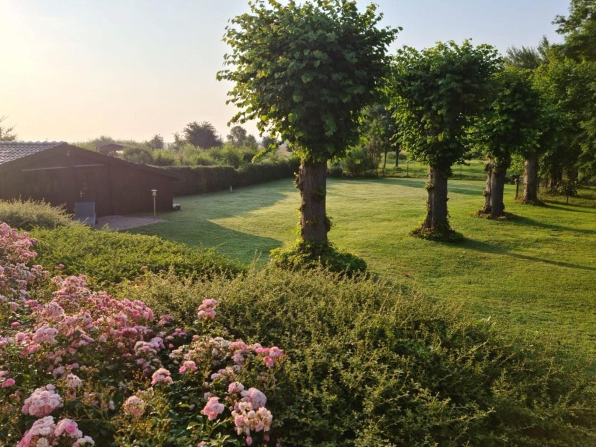 Sonnenhus 2 - BreegeRügen