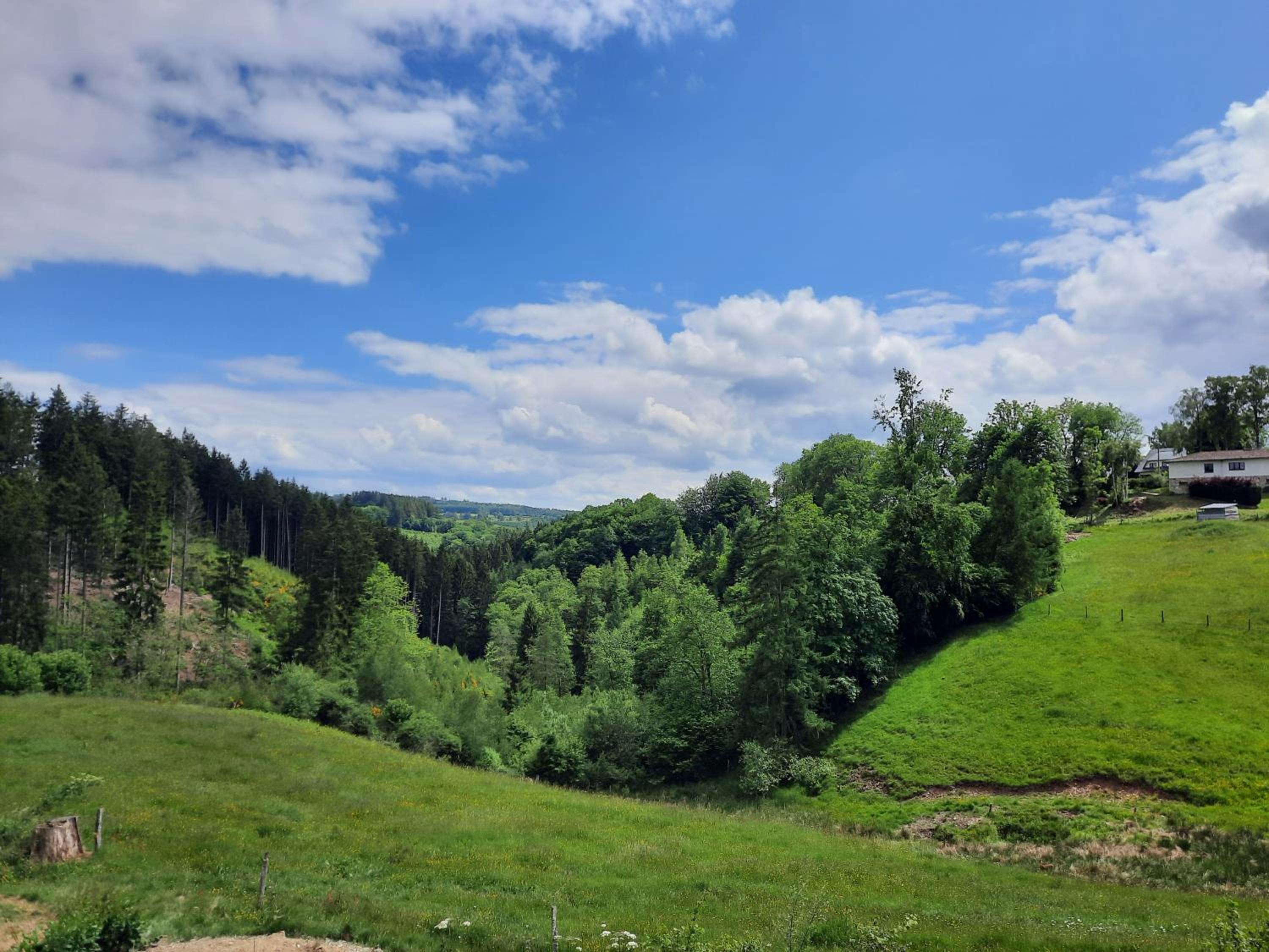 Superbe Appart' Bois De Fagne view 3