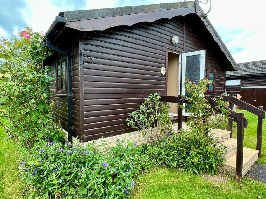 Photo 12