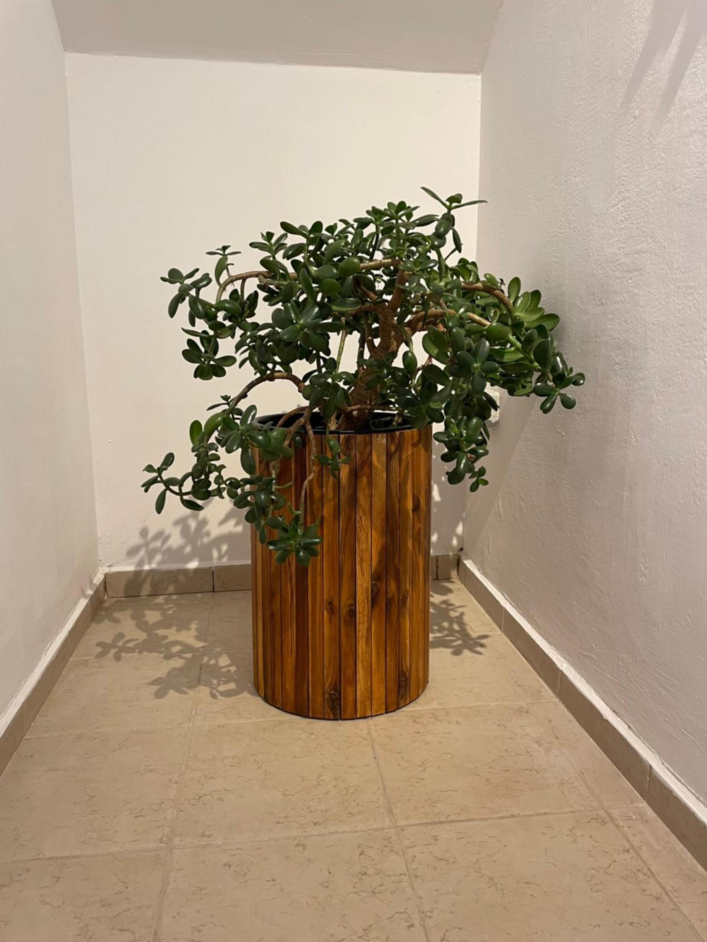 Photo 13