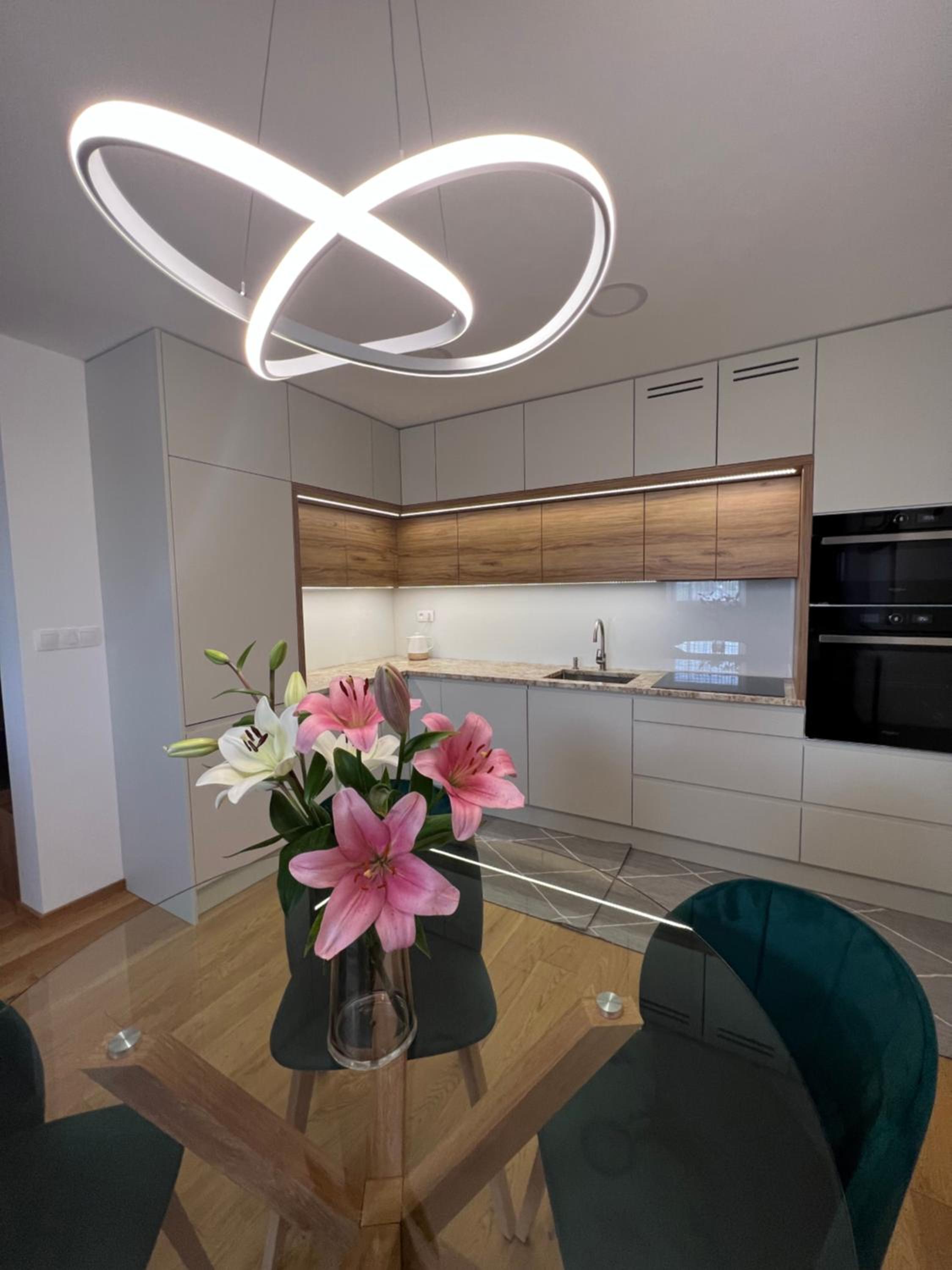 Downtown apartment Darinka view 4