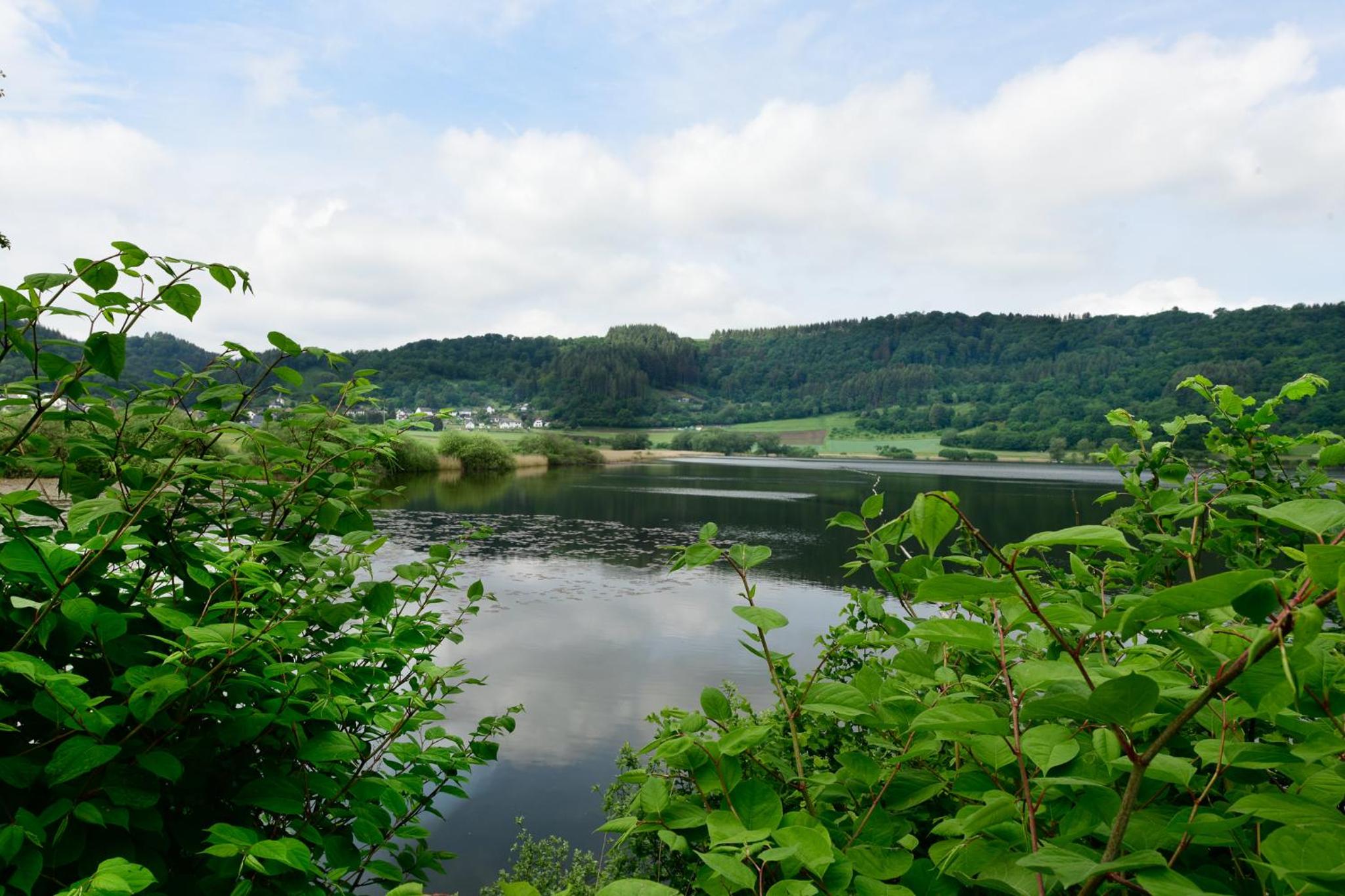 Der Eifel Perle Manderscheid