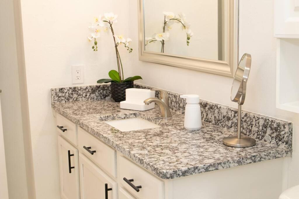 All You Need 2 Bed 1 Bath! Fam and Pet Friendly, WD, 2 Free Parking Spots! view 5
