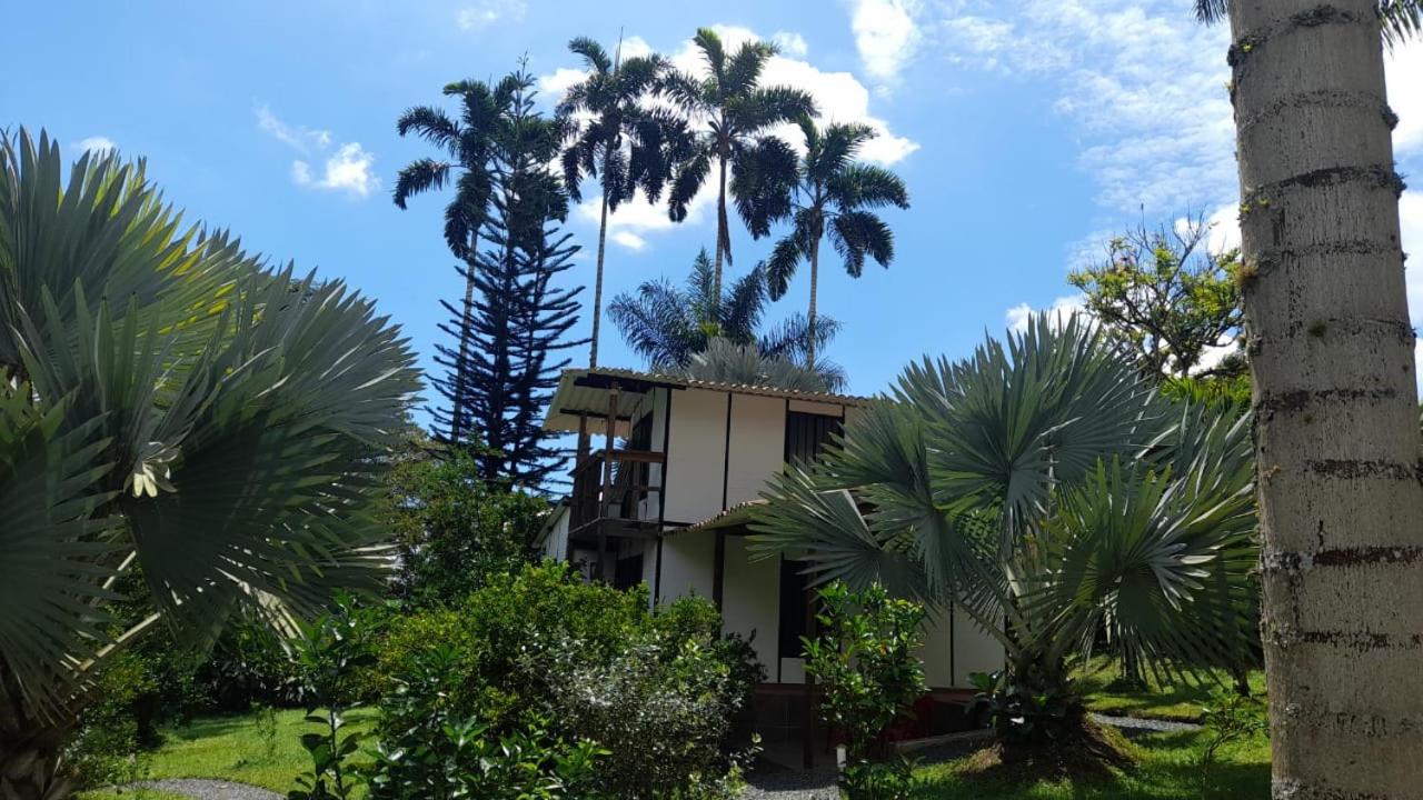 Cabañas en el Bosque