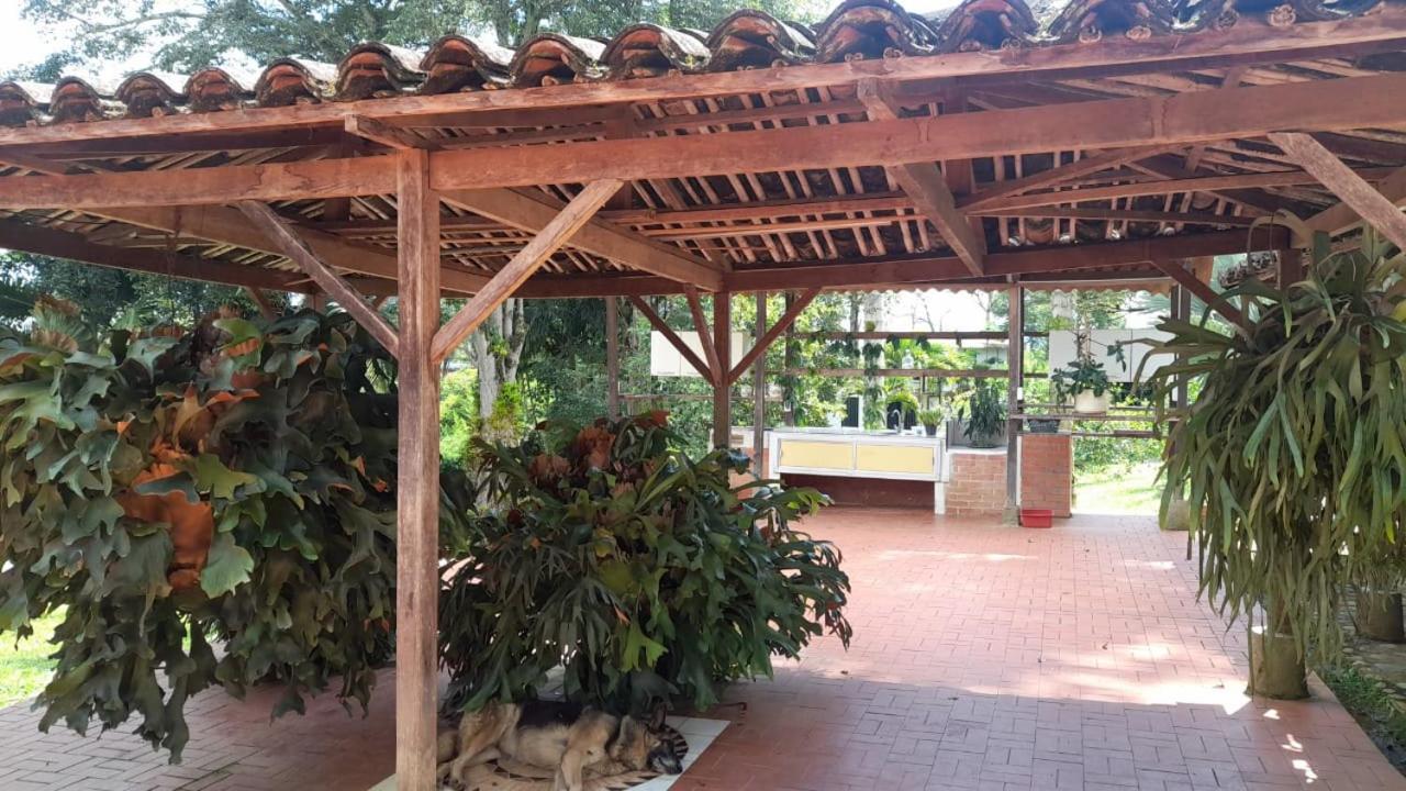 Cabañas en el Bosque