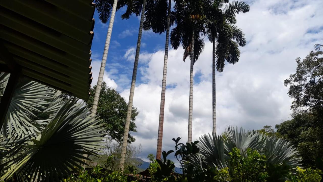 Cabañas en el Bosque