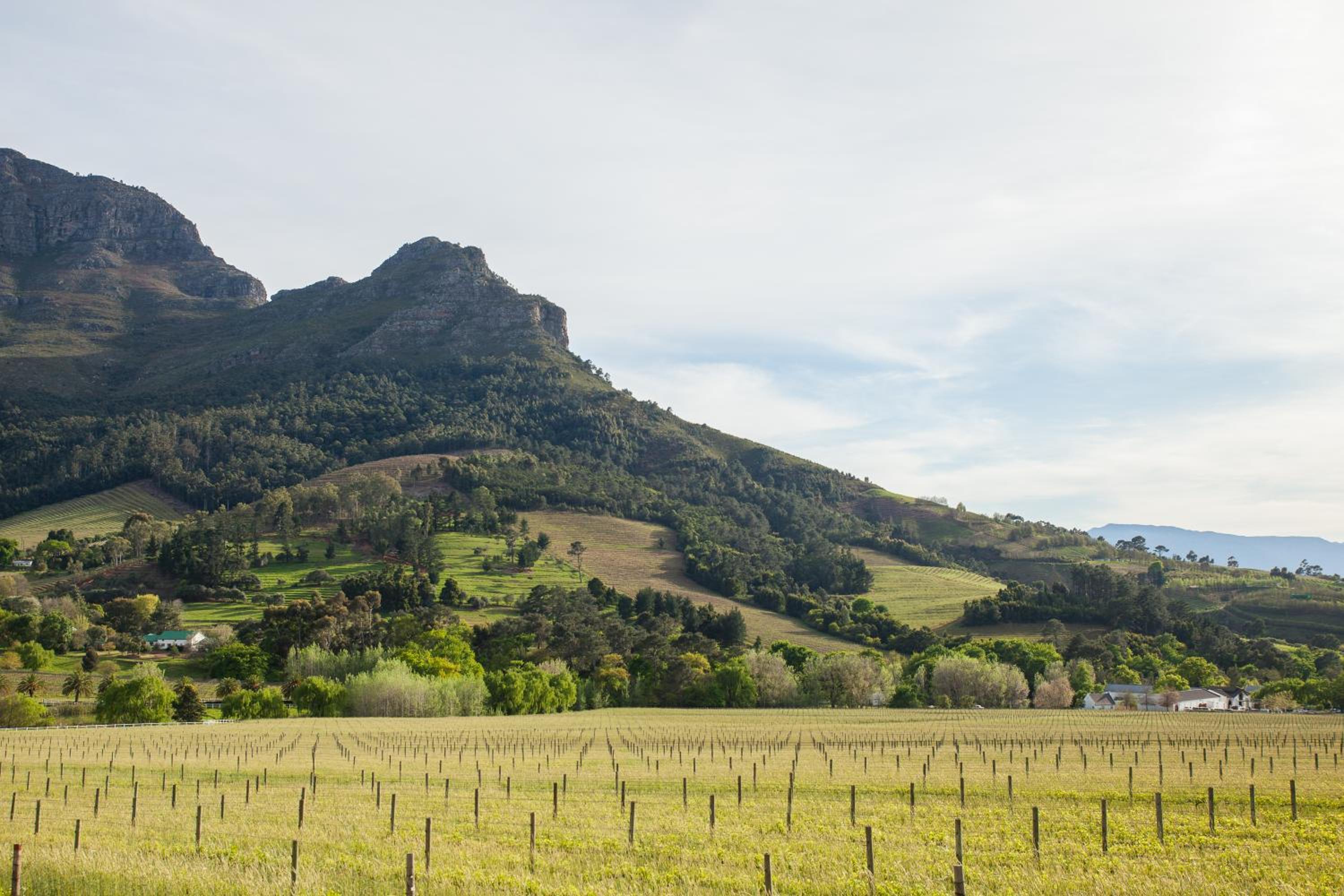 Banhoek Lodge