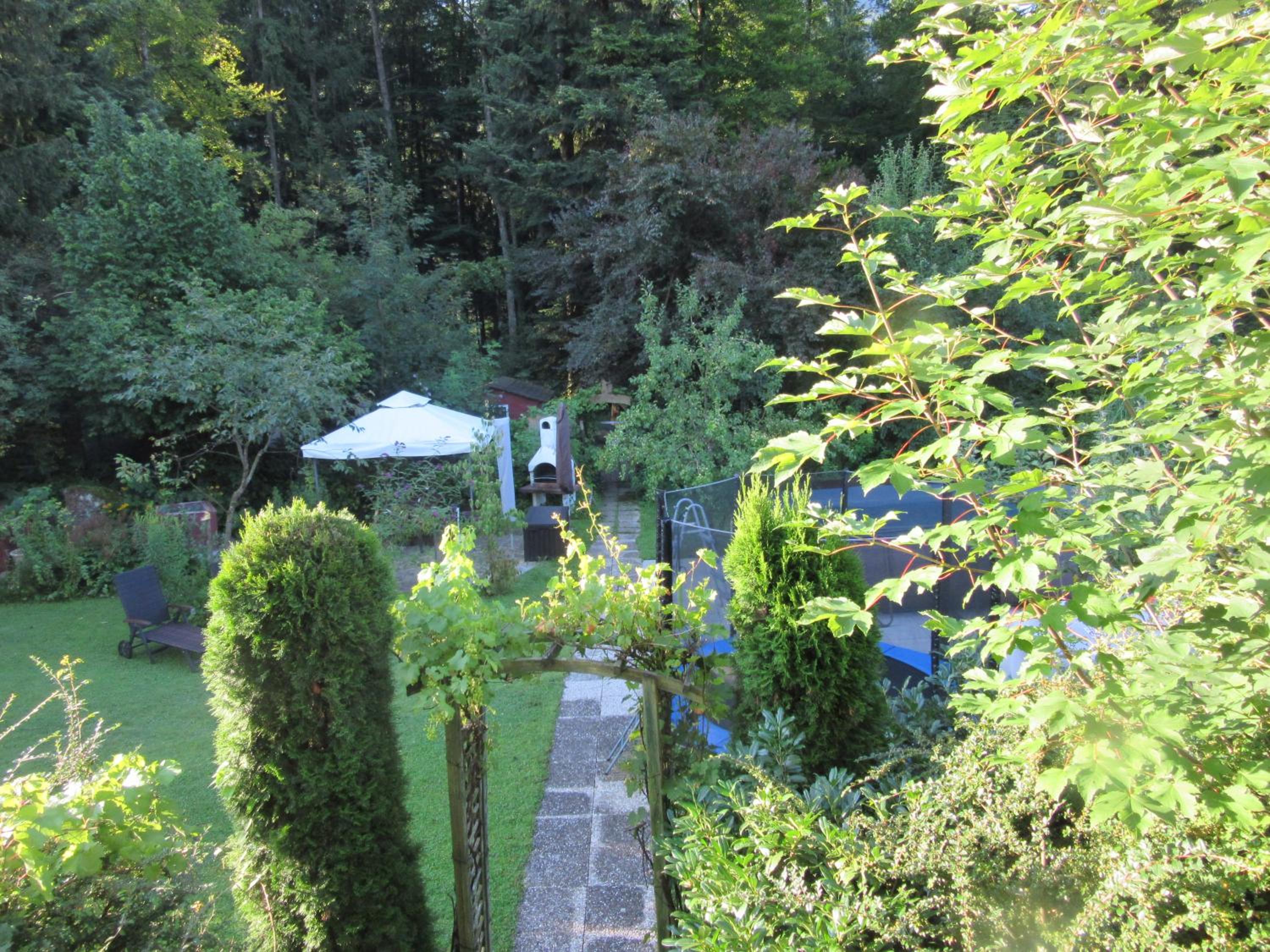 Photo 45