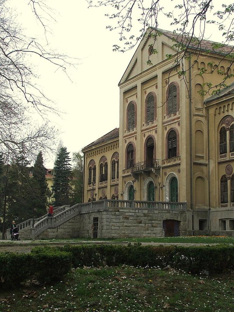 Photo 31
