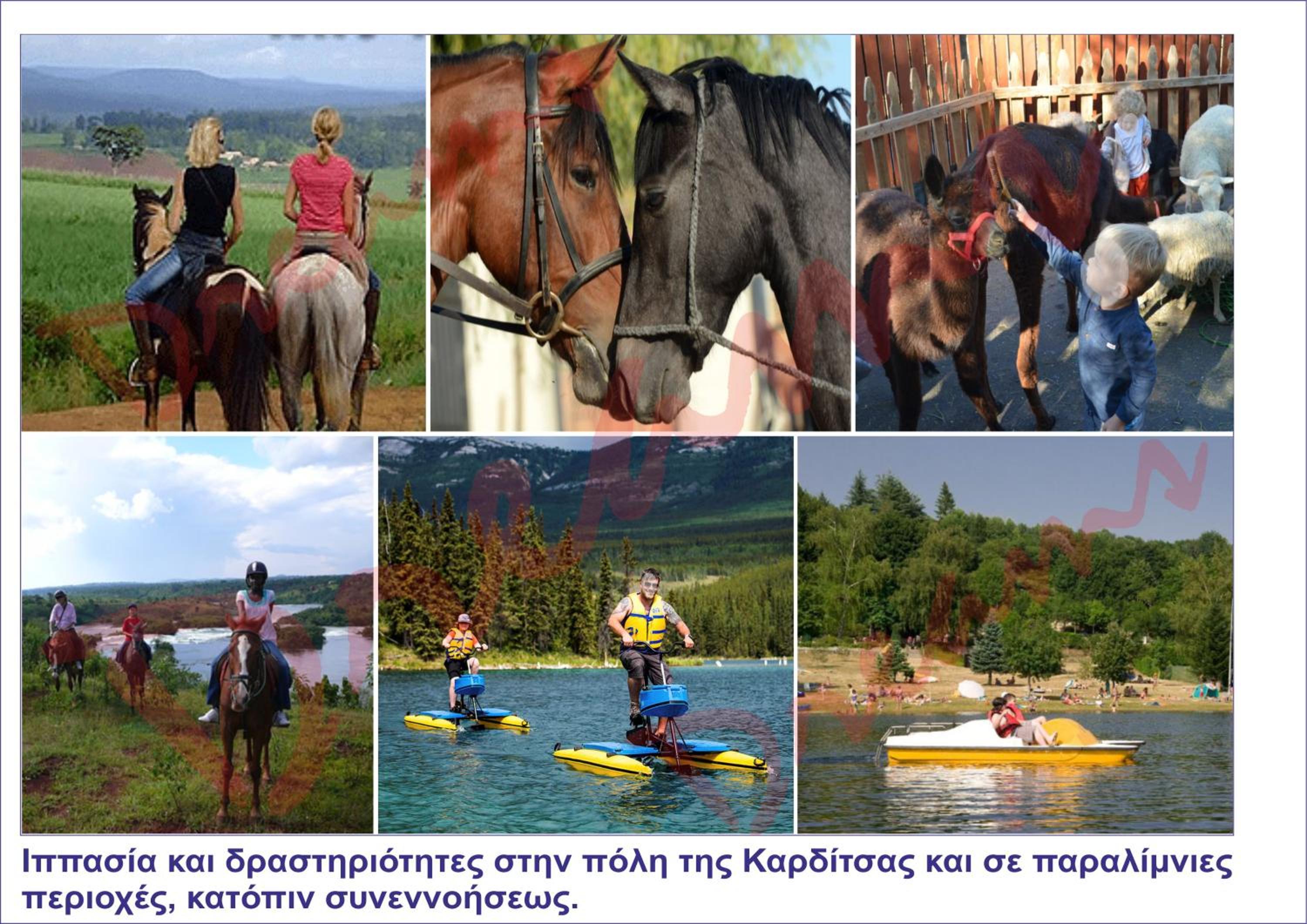 activities & amenities